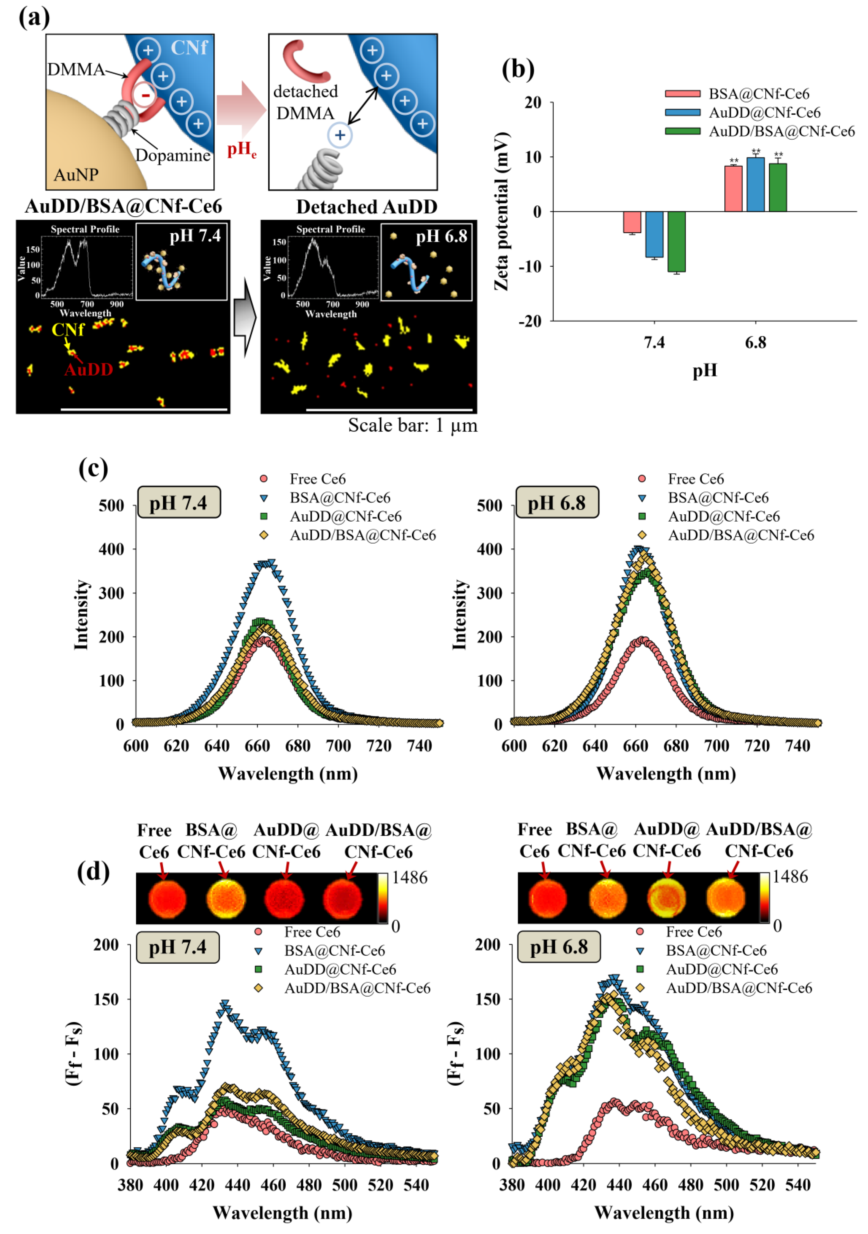 Pharmaceutics 11 00258 g003 Pharmaceutics 11 00258 g003