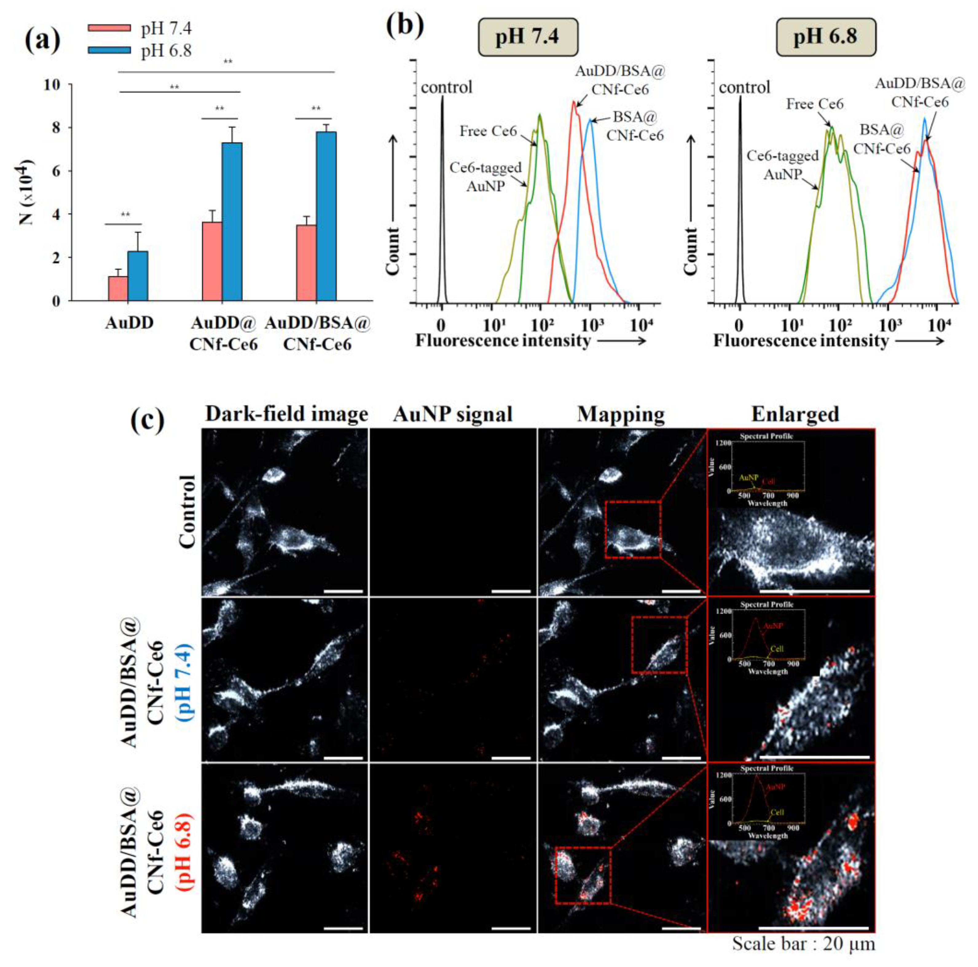 Pharmaceutics 11 00258 g005 Pharmaceutics 11 00258 g005