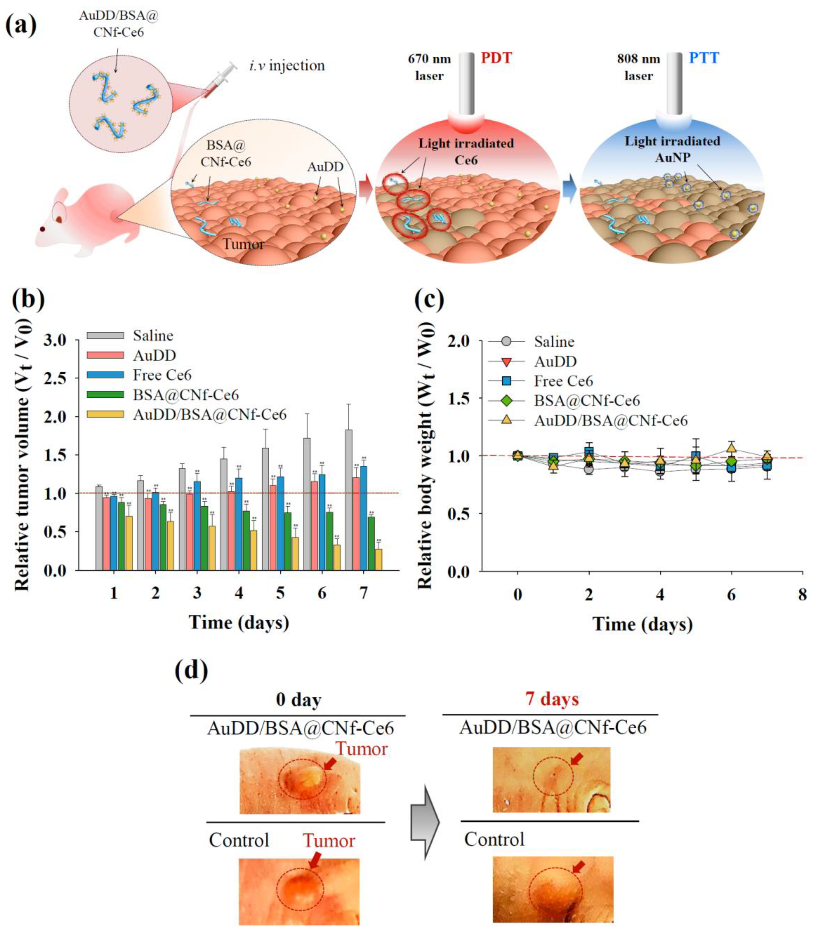 Pharmaceutics 11 00258 g011 Pharmaceutics 11 00258 g011
