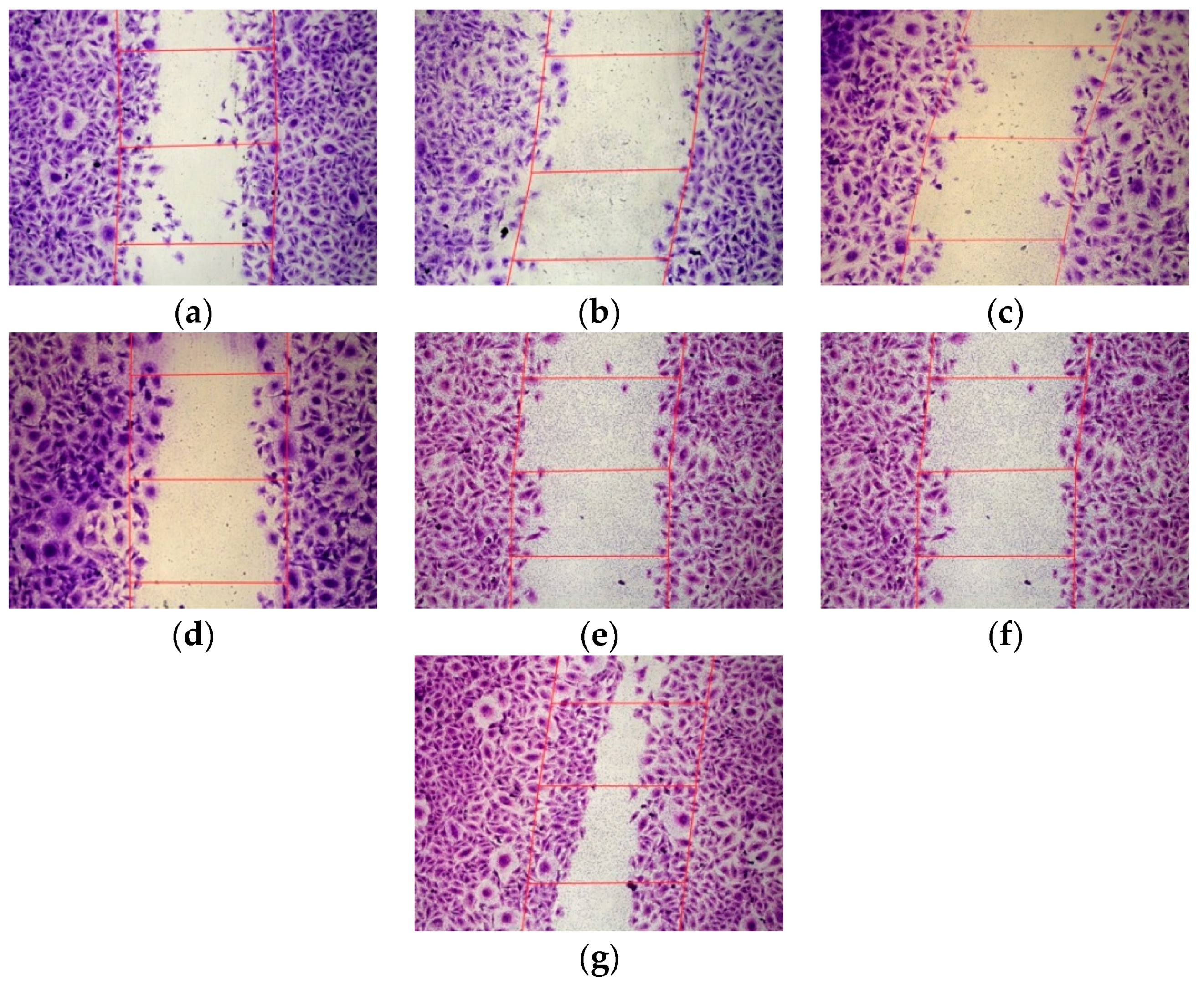 Pharmaceutics 11 00261 g004 Pharmaceutics 11 00261 g004