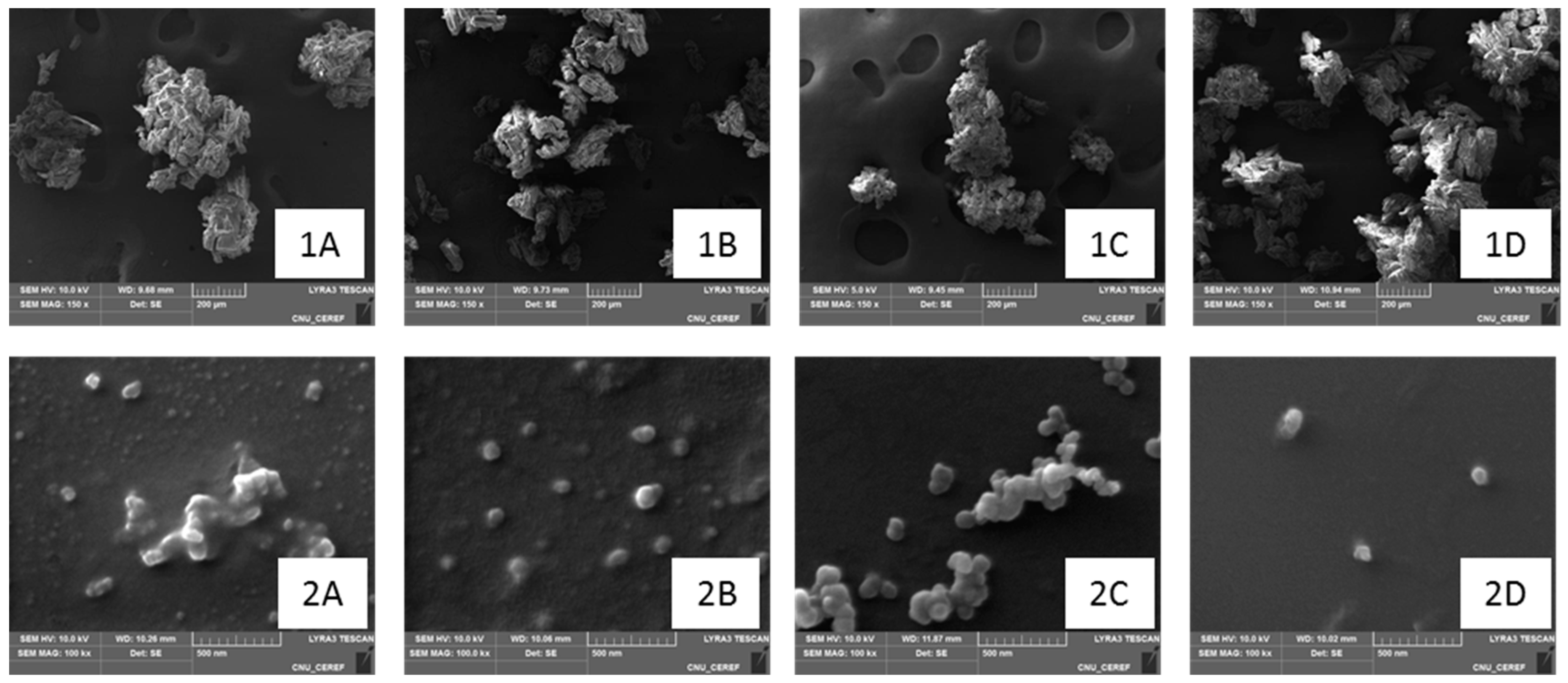 Pharmaceutics 11 00272 g003 Pharmaceutics 11 00272 g003