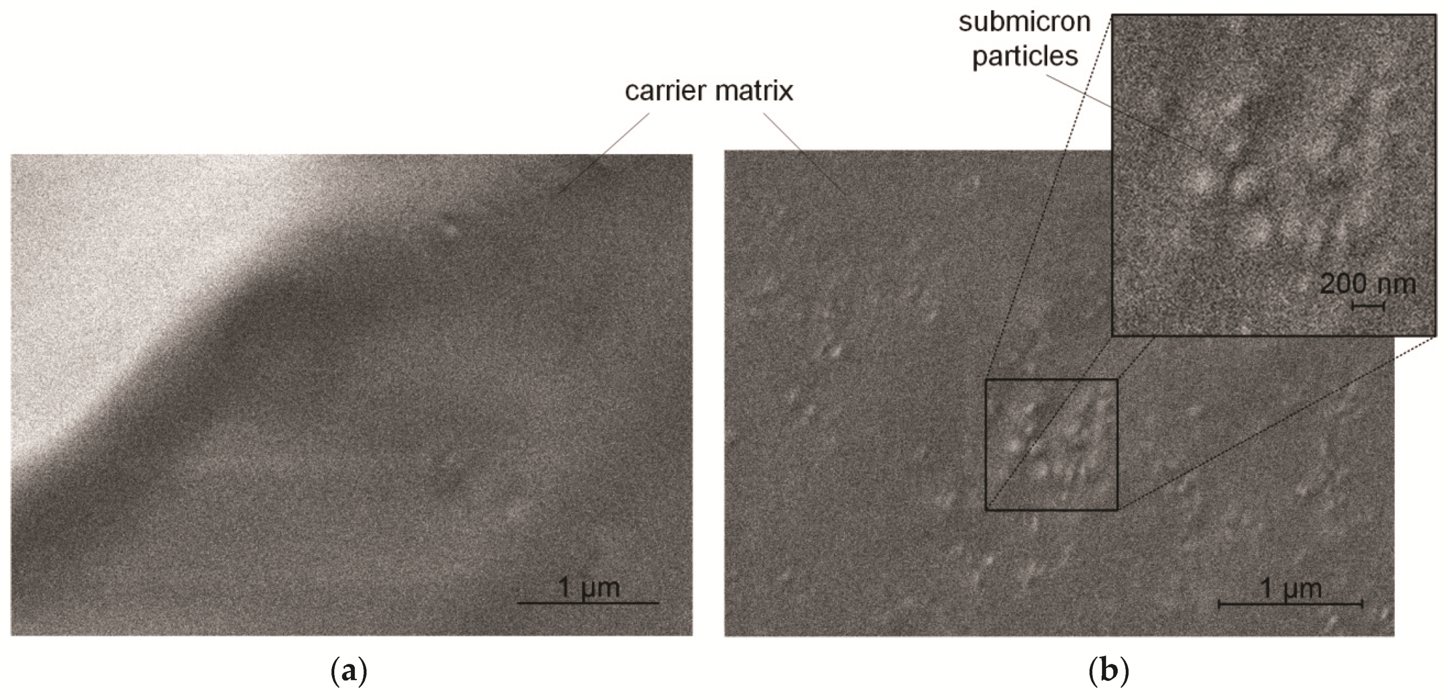Pharmaceutics 11 00276 g003 Pharmaceutics 11 00276 g003