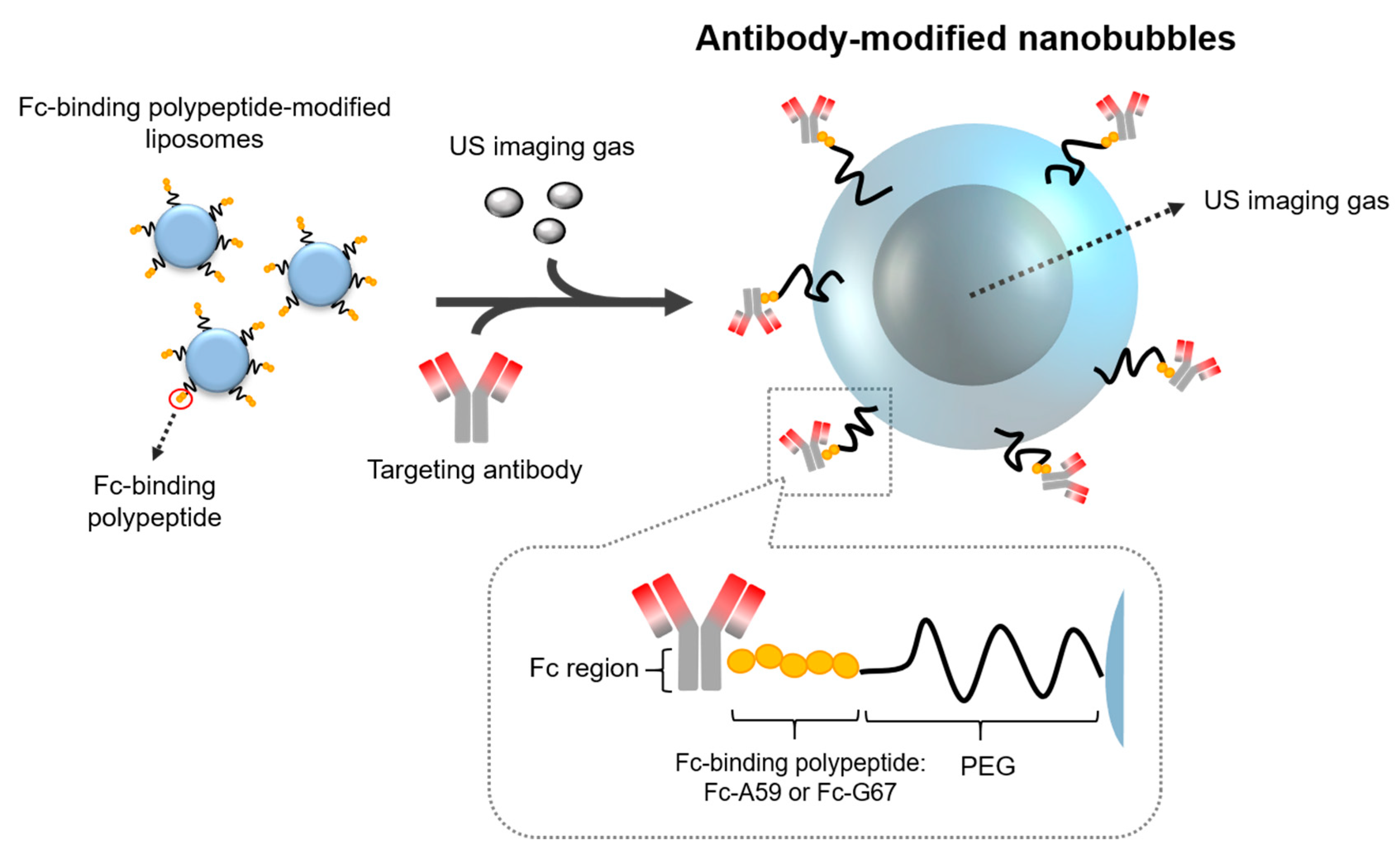 Pharmaceutics 11 00283 g001 Pharmaceutics 11 00283 g001