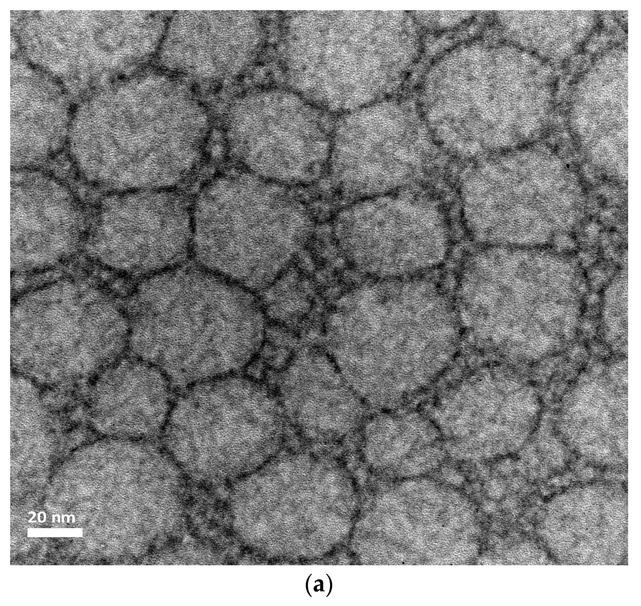 Pharmaceutics 11 00284 g004a Pharmaceutics 11 00284 g004a