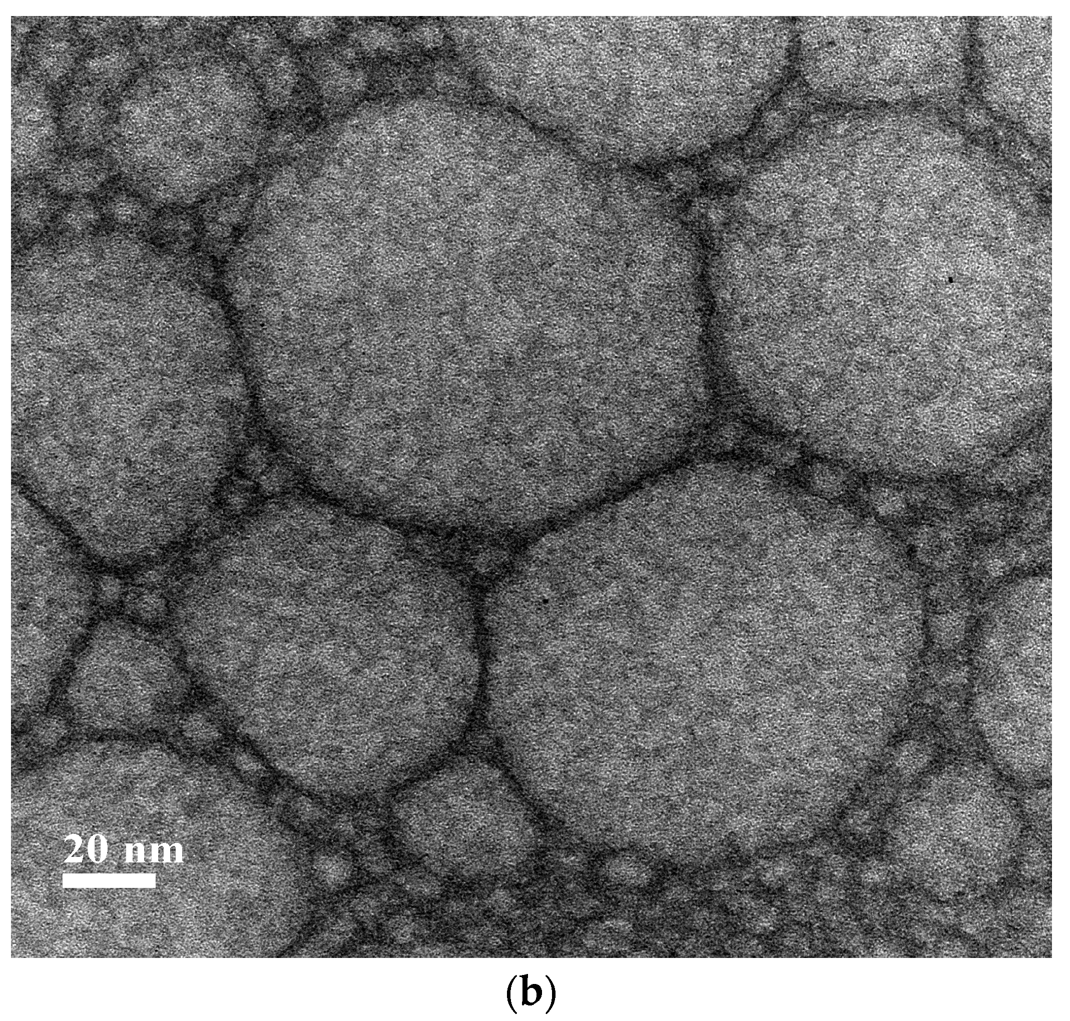 Pharmaceutics 11 00284 g004b Pharmaceutics 11 00284 g004b