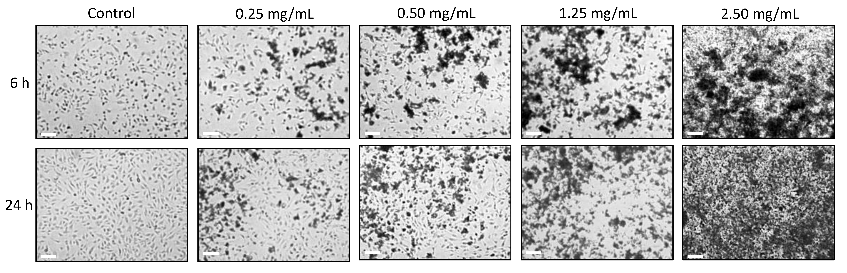 Pharmaceutics 11 00289 g009 Pharmaceutics 11 00289 g009