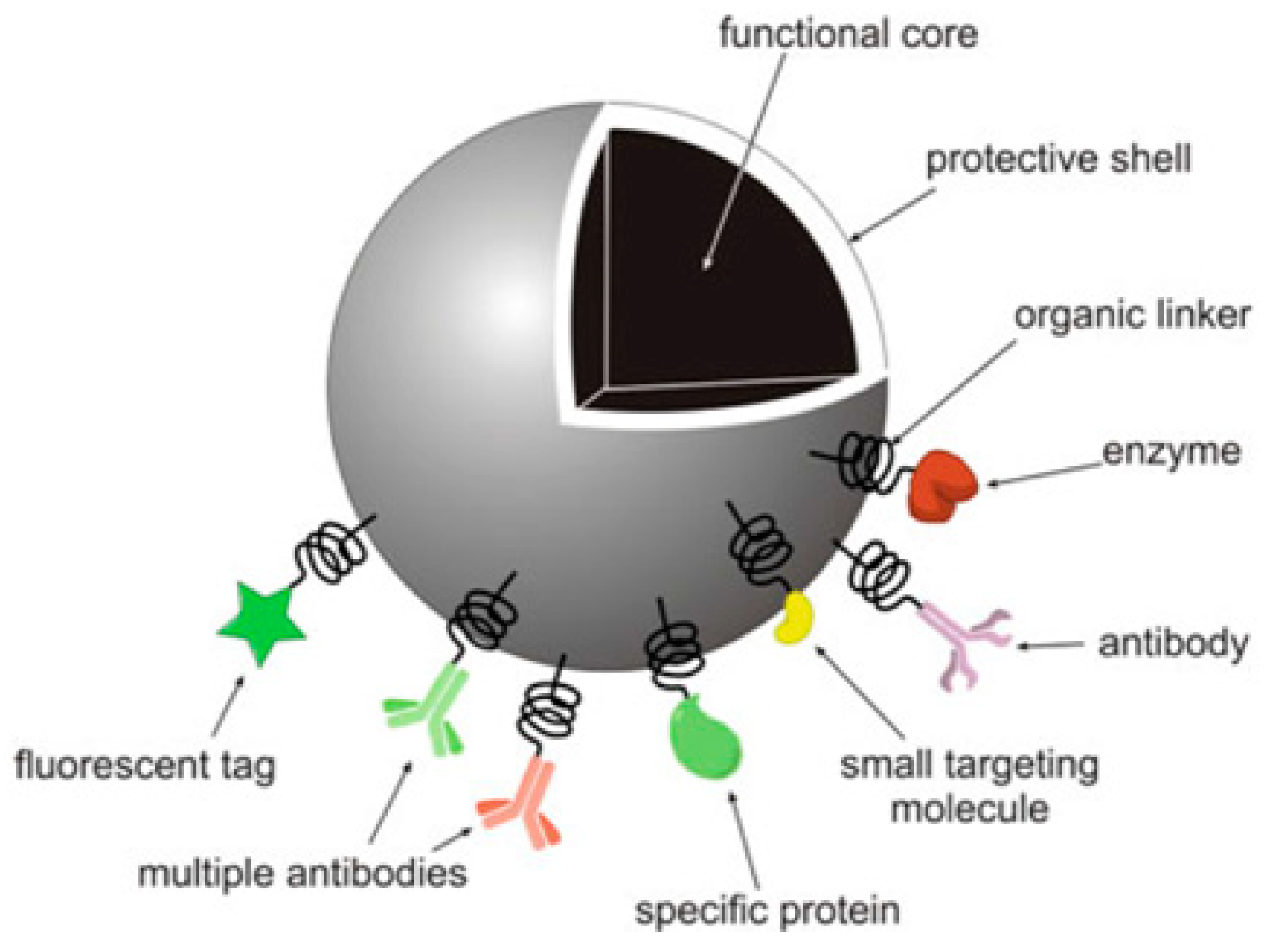 Pharmaceutics 11 00294 g001 Pharmaceutics 11 00294 g001