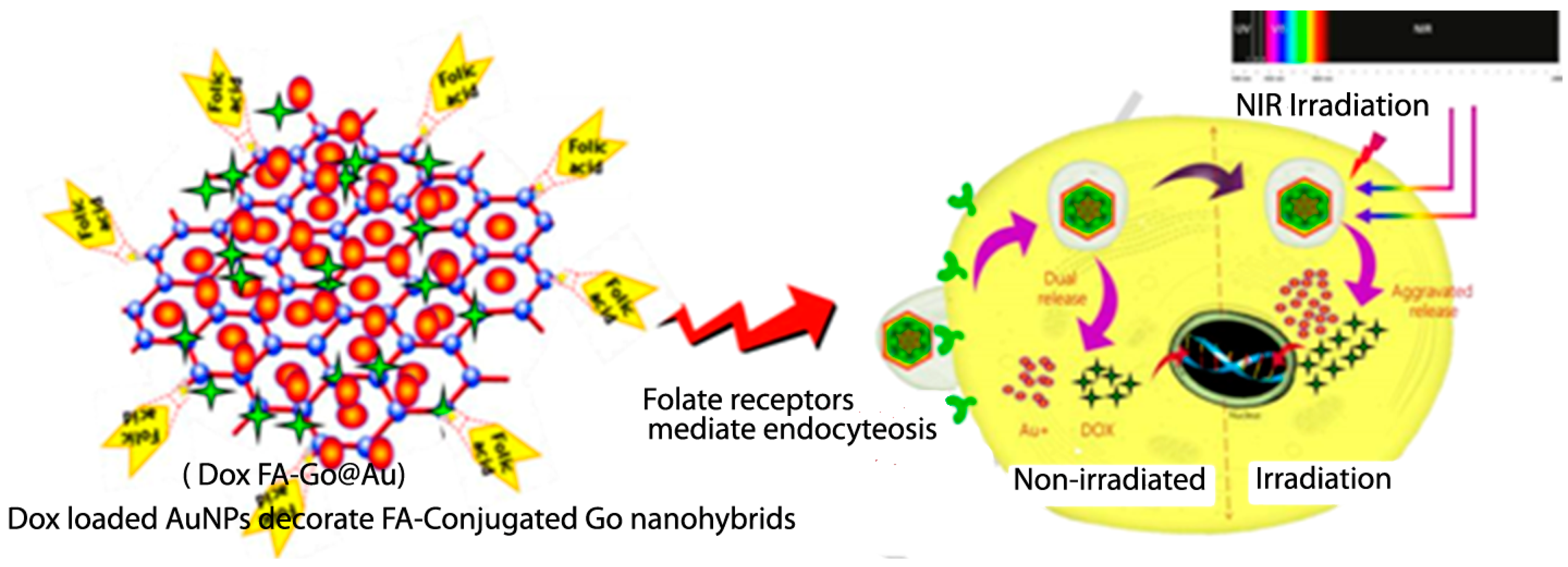 Pharmaceutics 11 00294 g004 Pharmaceutics 11 00294 g004