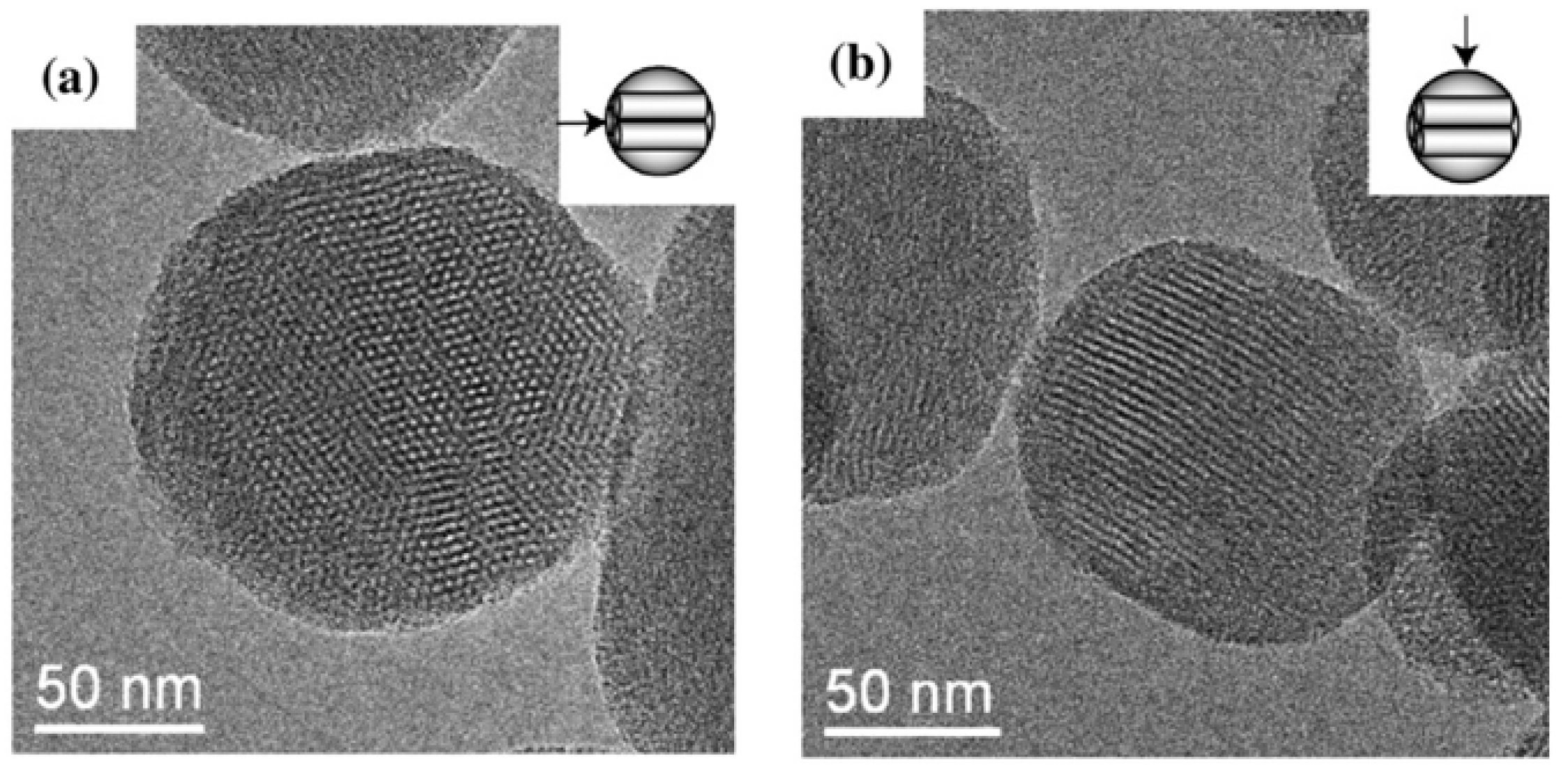 Pharmaceutics 11 00294 g005 Pharmaceutics 11 00294 g005
