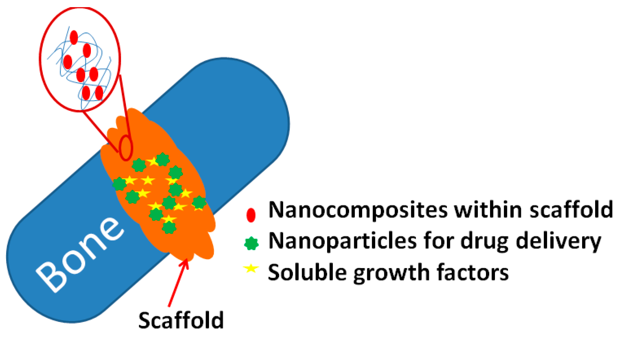 Pharmaceutics 11 00294 g006 Pharmaceutics 11 00294 g006