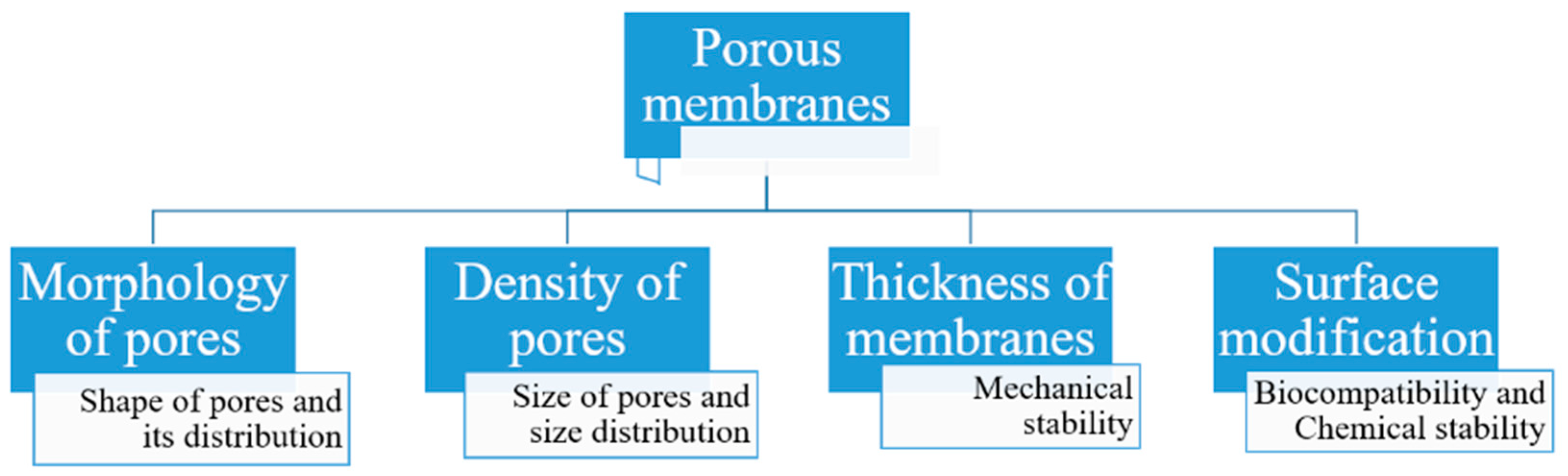 Pharmaceutics 11 00294 g010 Pharmaceutics 11 00294 g010