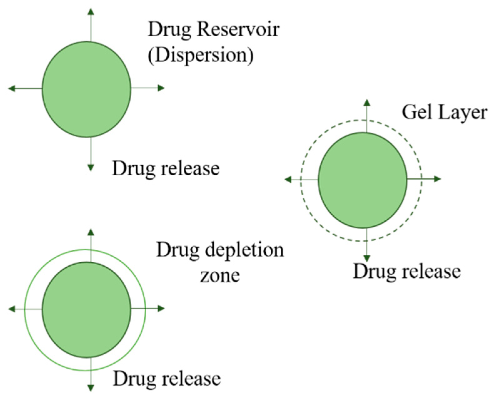 Pharmaceutics 11 00294 g016 Pharmaceutics 11 00294 g016