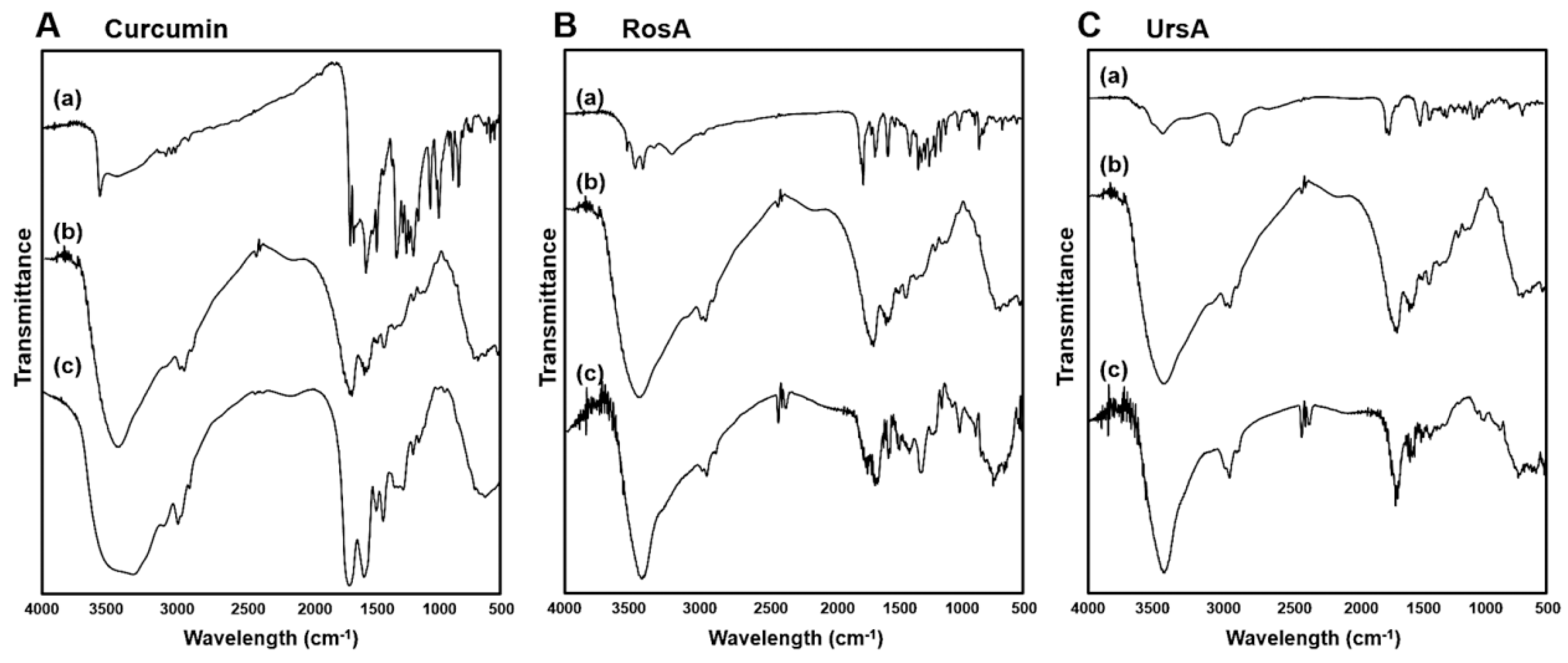 Pharmaceutics 11 00297 g004 550