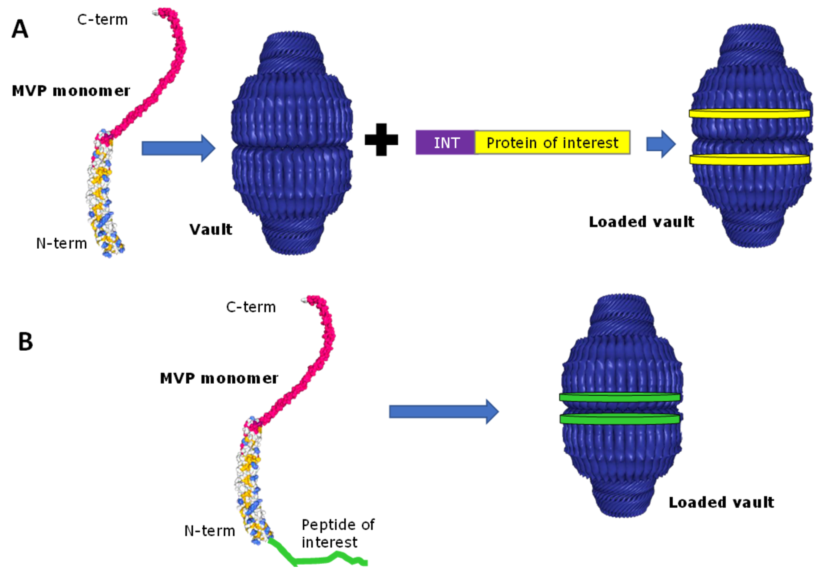 Pharmaceutics 11 00300 g002