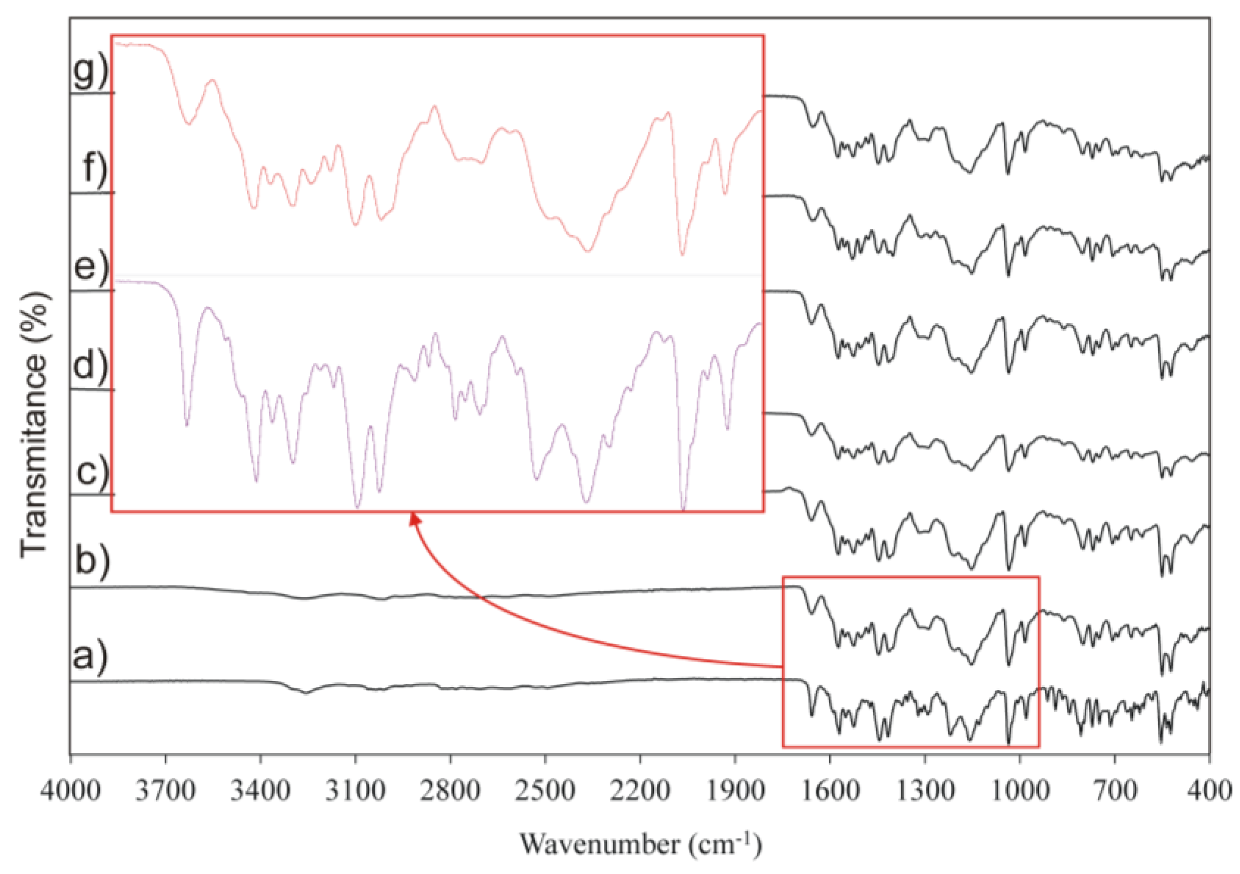 Pharmaceutics 11 00304 g007 Pharmaceutics 11 00304 g007