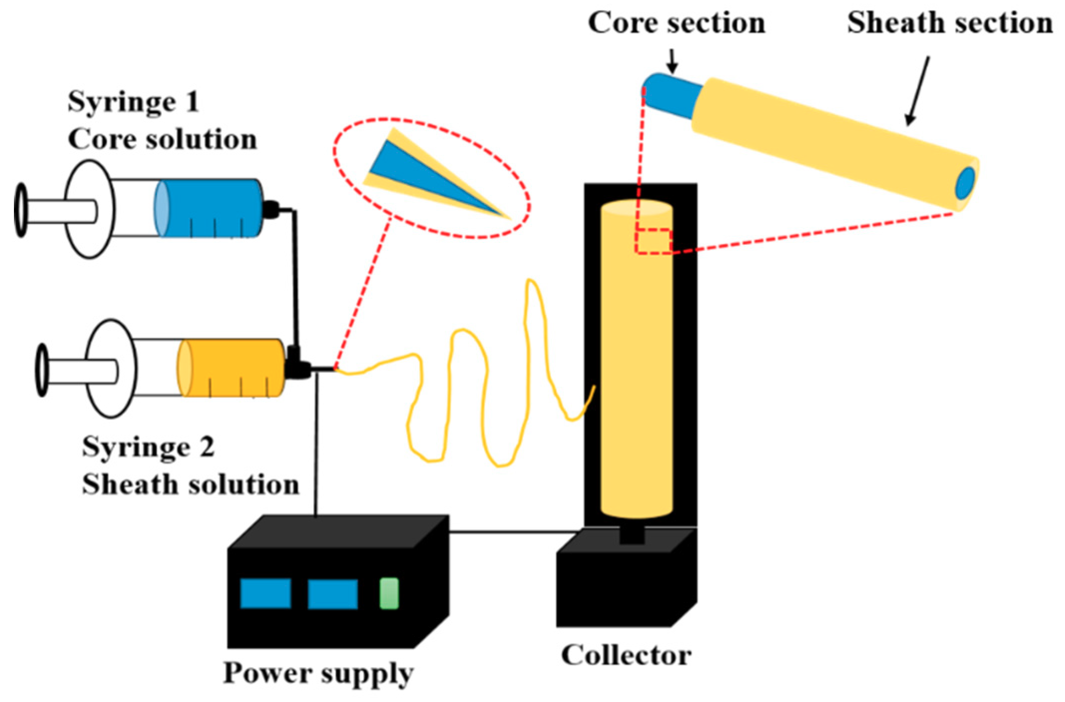 Pharmaceutics 11 00305 g003 Pharmaceutics 11 00305 g003