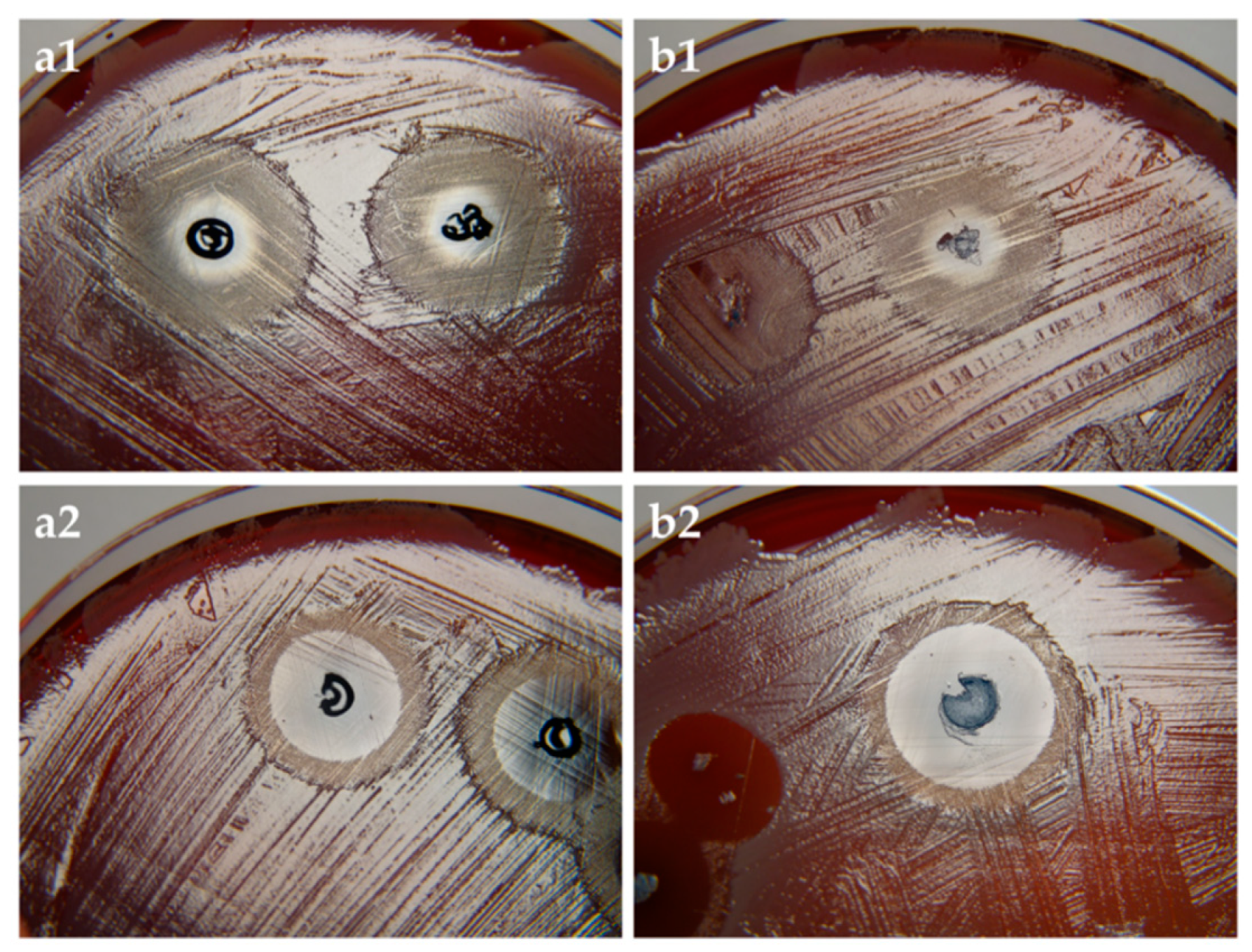 Pharmaceutics 11 00307 g006