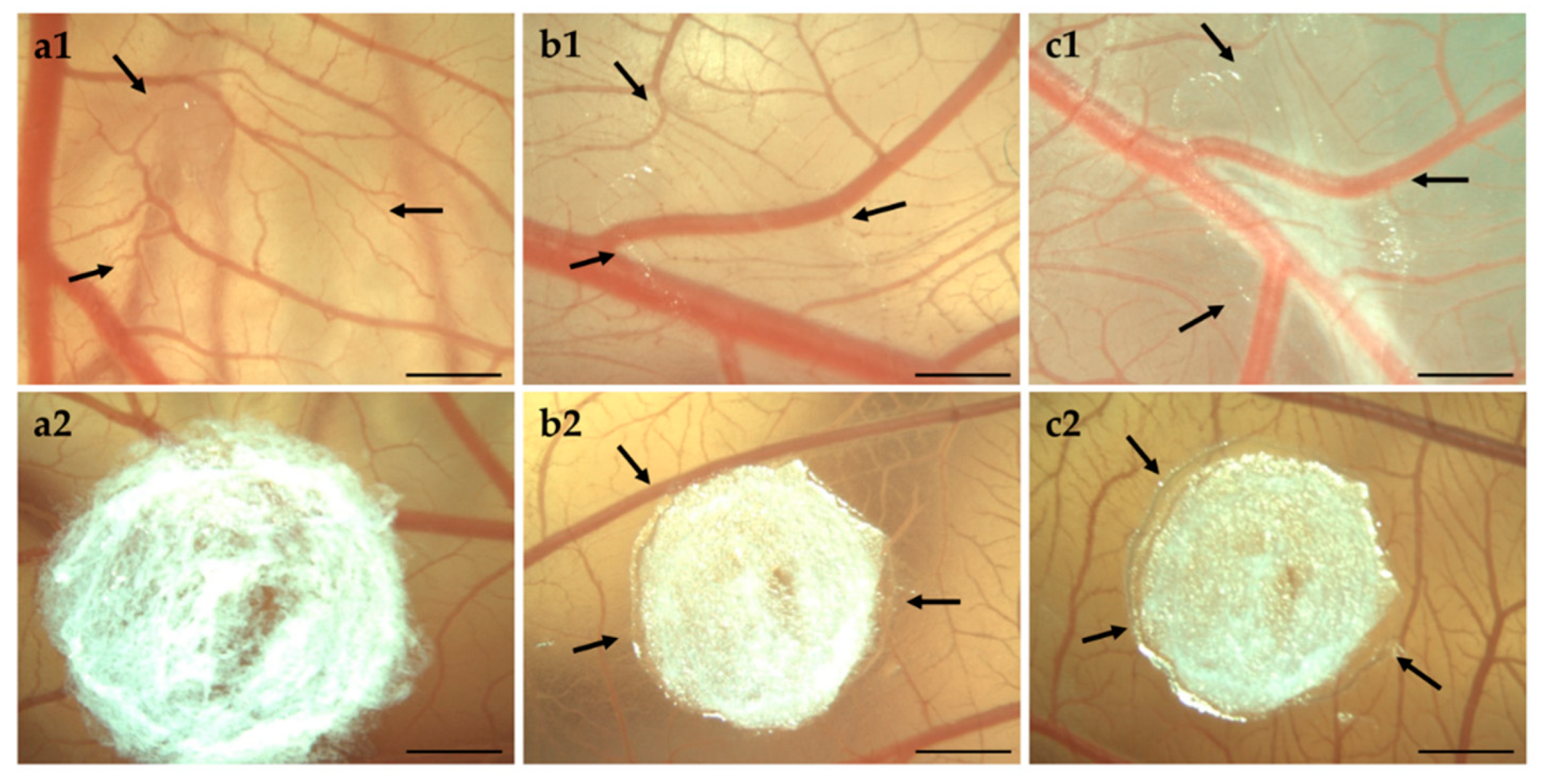 Pharmaceutics 11 00307 g008