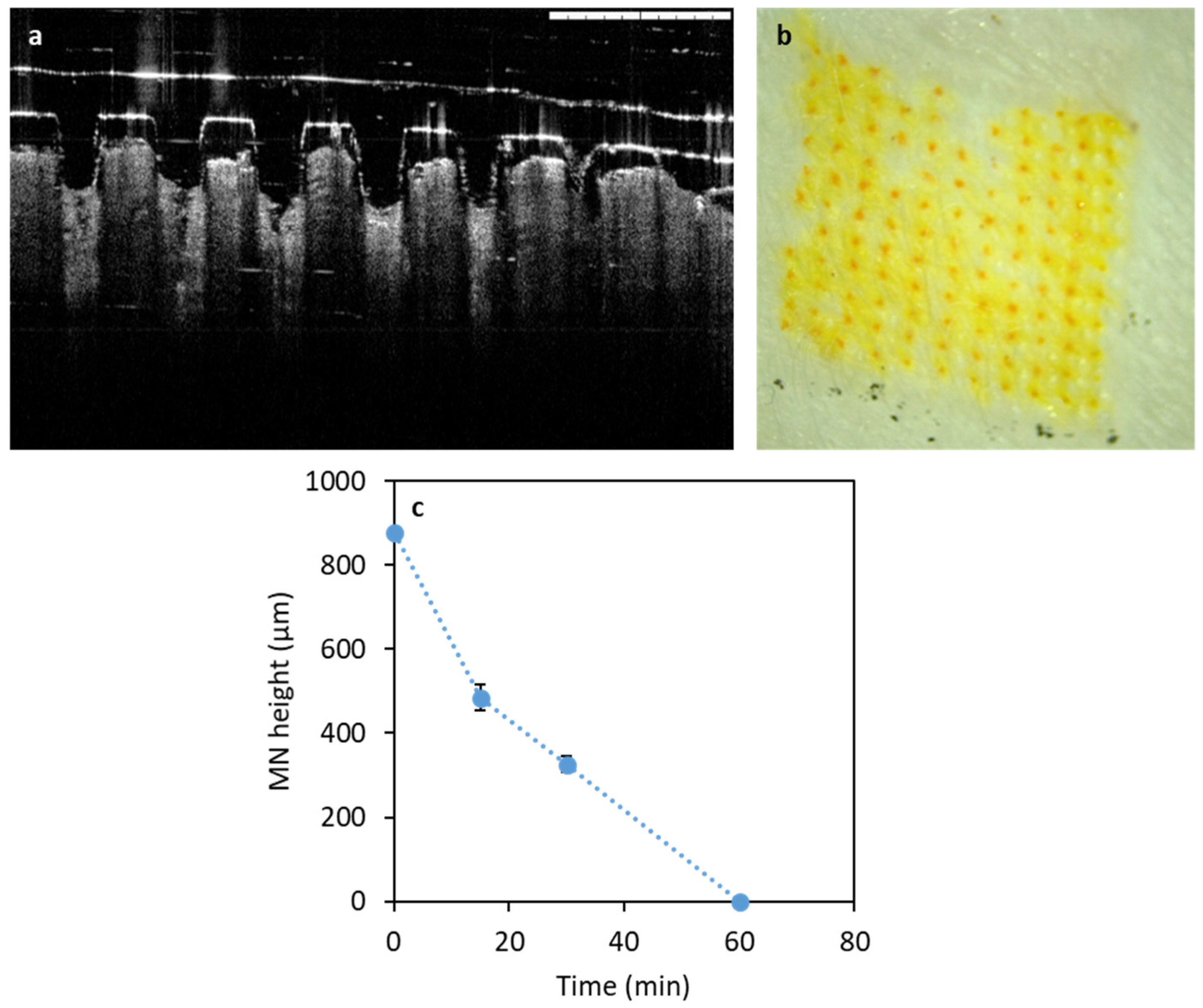 Pharmaceutics 11 00308 g007 Pharmaceutics 11 00308 g007