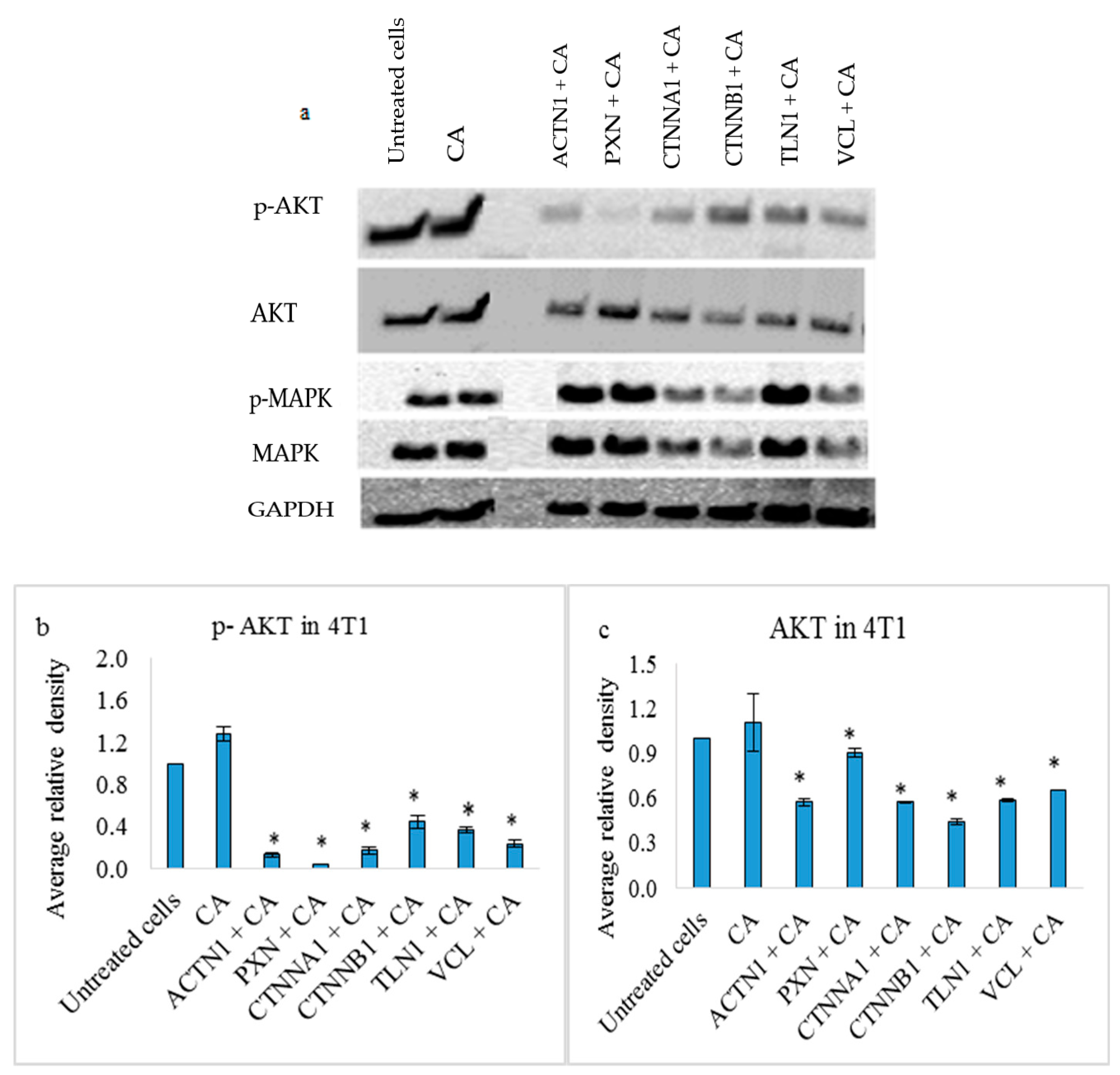 Pharmaceutics 11 00309 g009a
