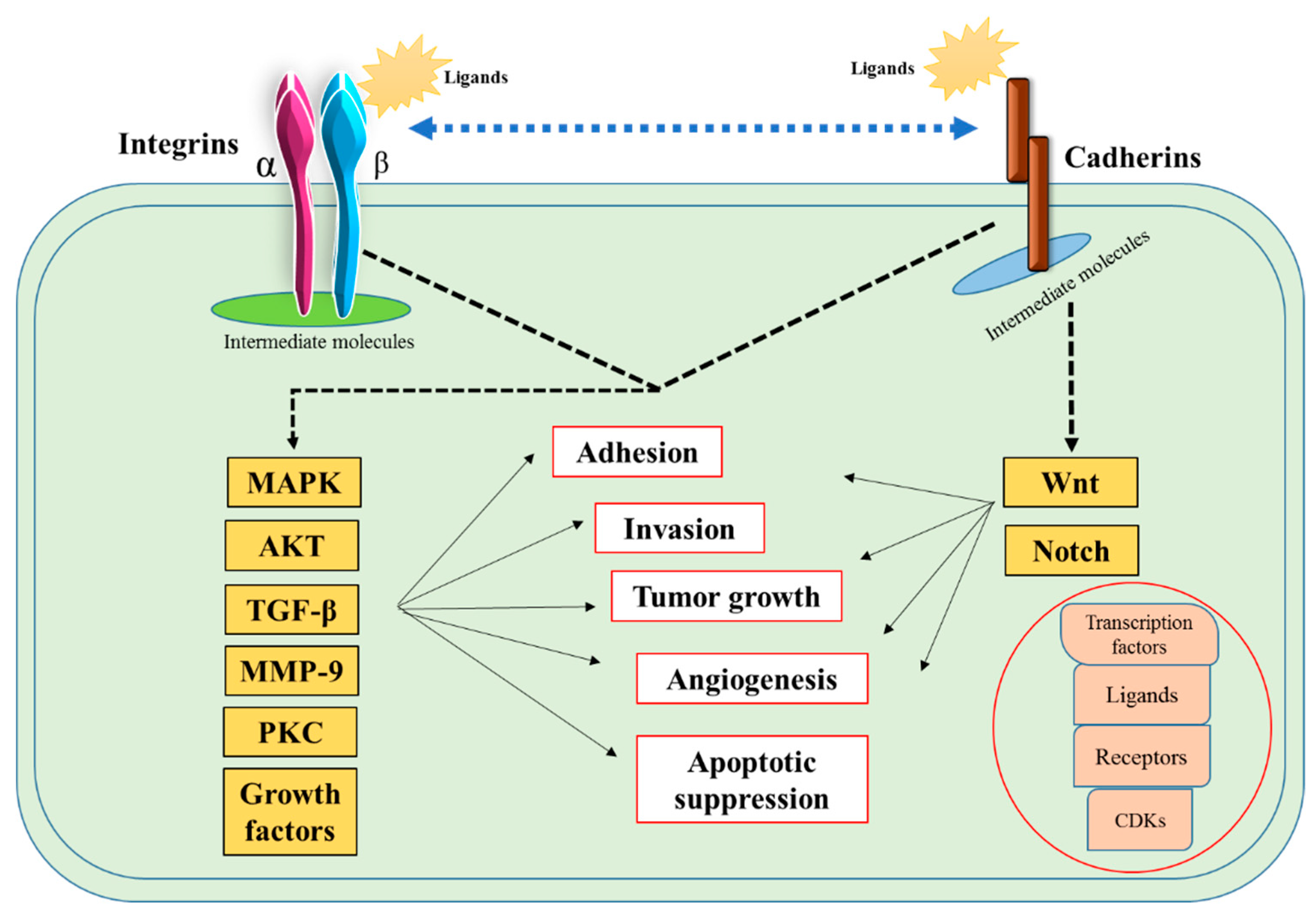 Pharmaceutics 11 00309 g017