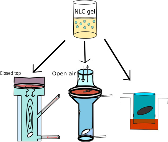 Pharmaceutics Free Full Text Nanostructured Lipid Carrier Gel For The Dermal Application Of Lidocaine Comparison Of Skin Penetration Testing Methods Html