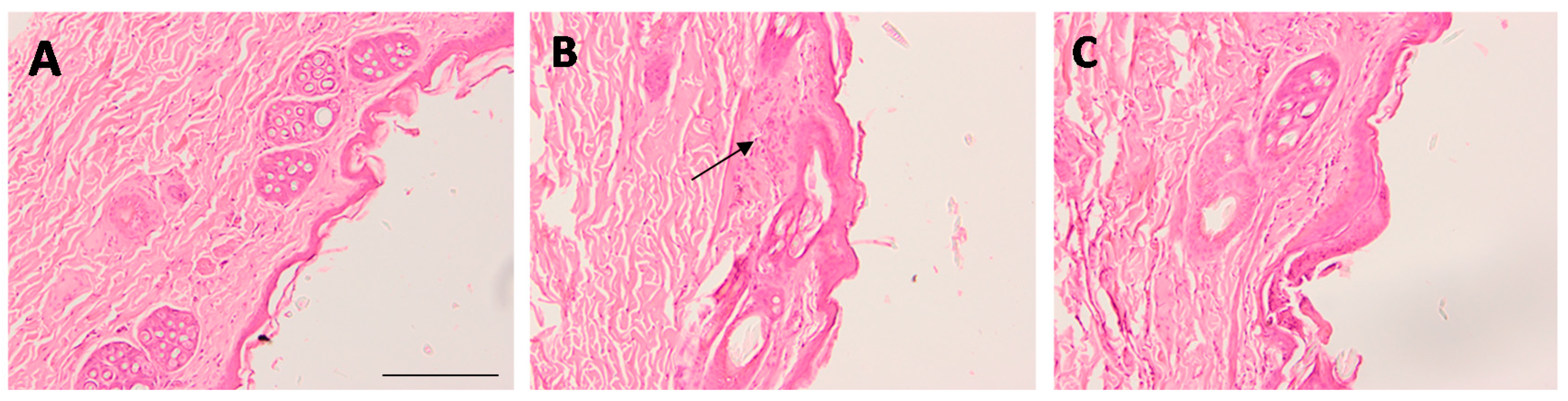 Pharmaceutics 11 00312 g011