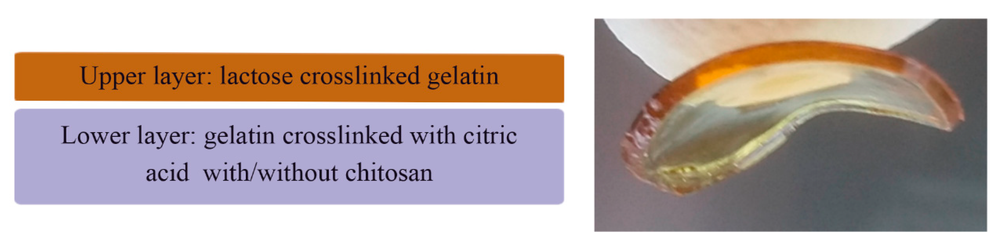 Pharmaceutics 11 00314 g001 550