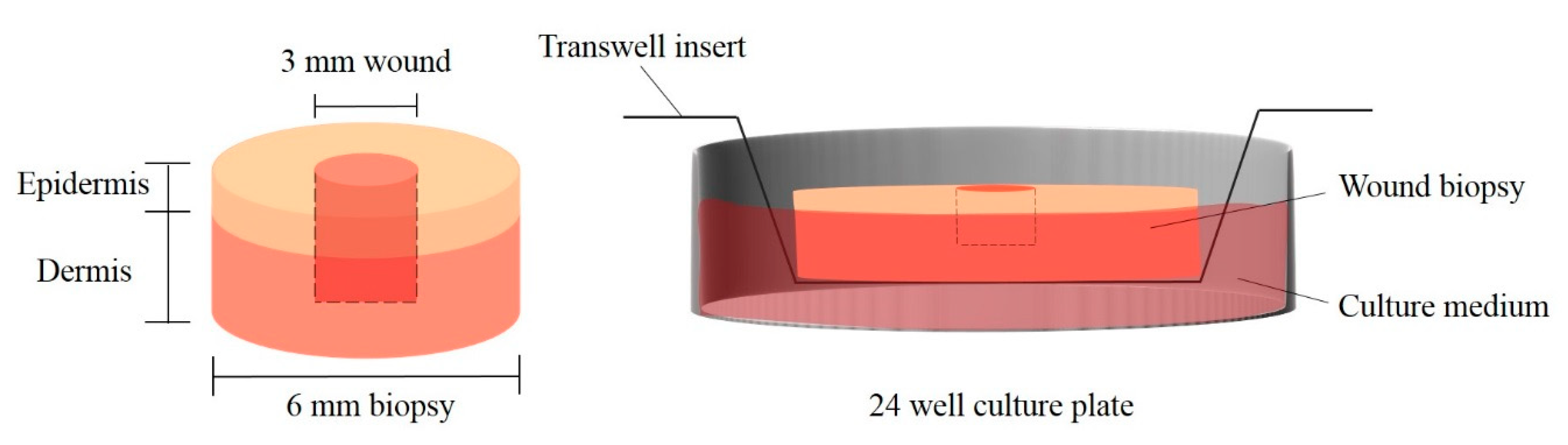 Pharmaceutics 11 00314 g002 550