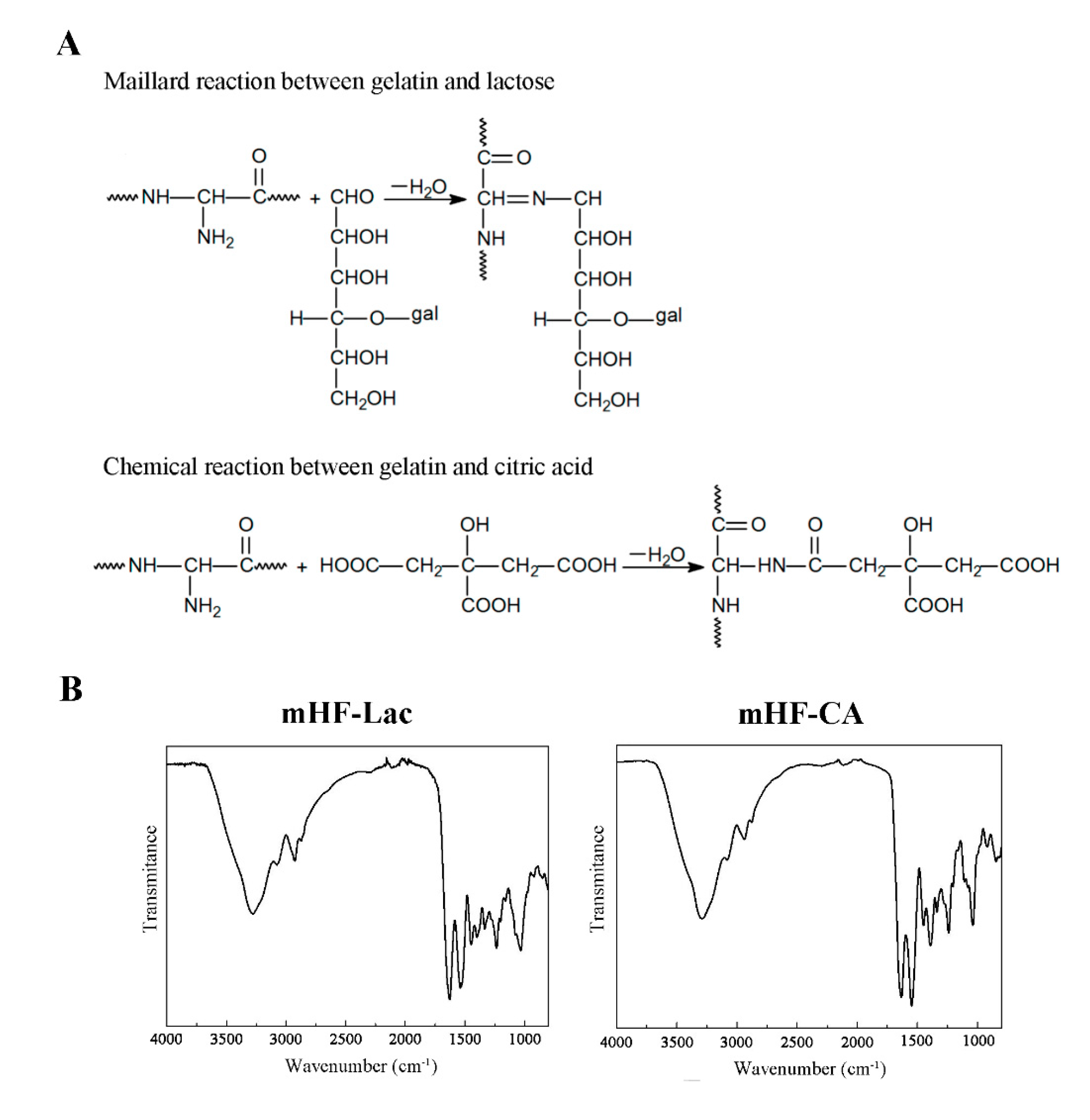 Pharmaceutics 11 00314 g003a 550