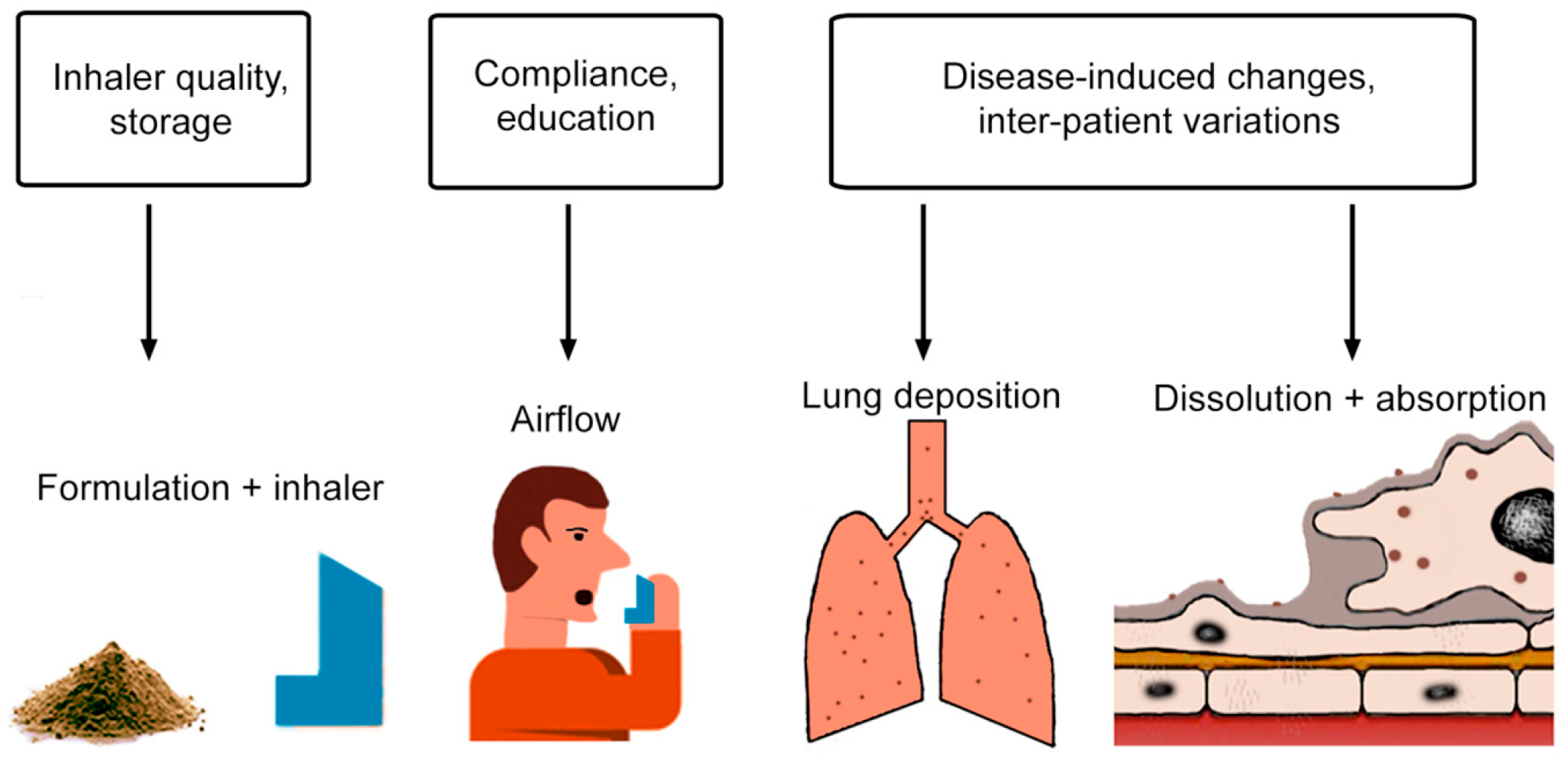Inhalation Formulation Development Services