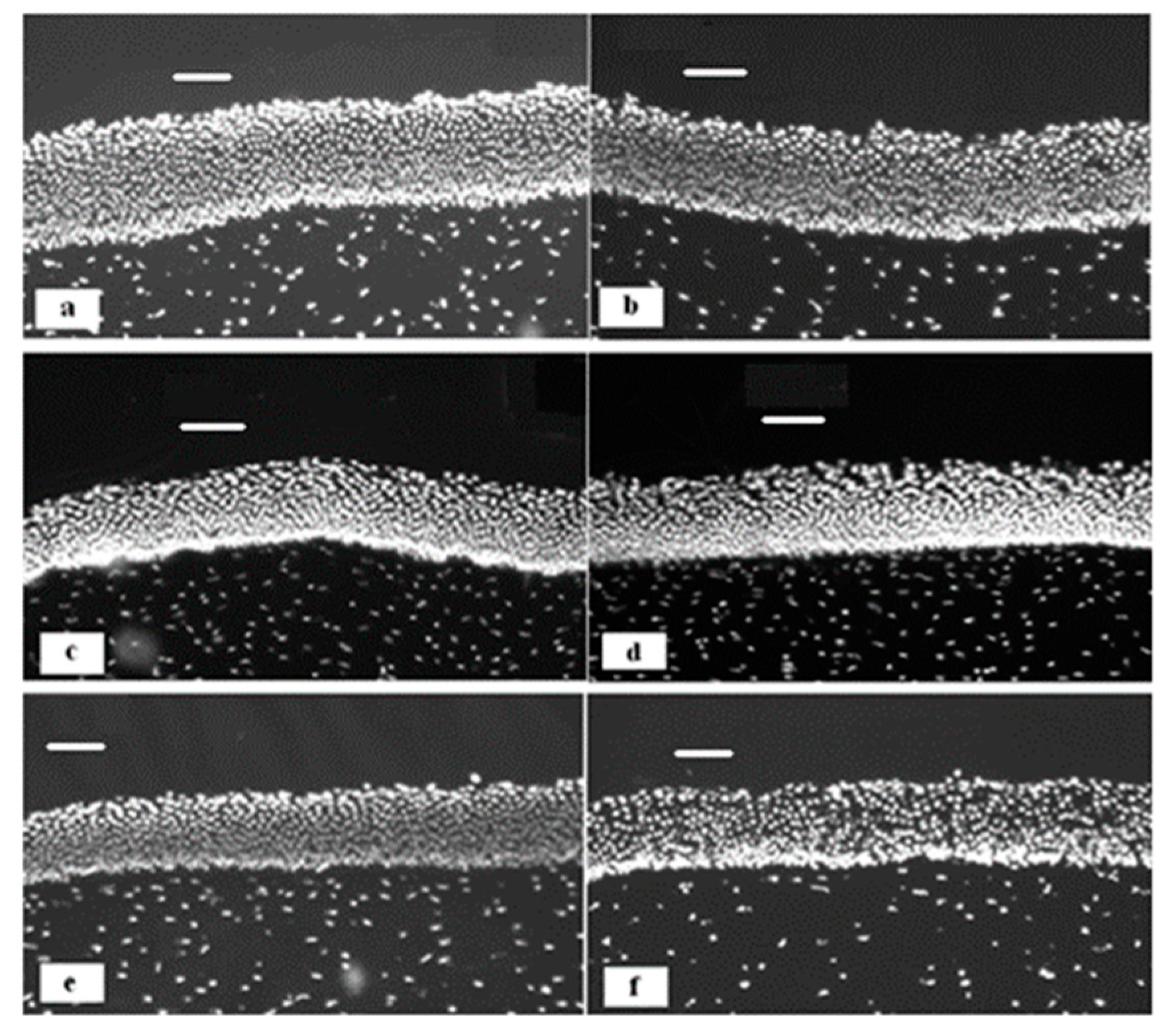 Pharmaceutics 11 00321 g008 Pharmaceutics 11 00321 g008