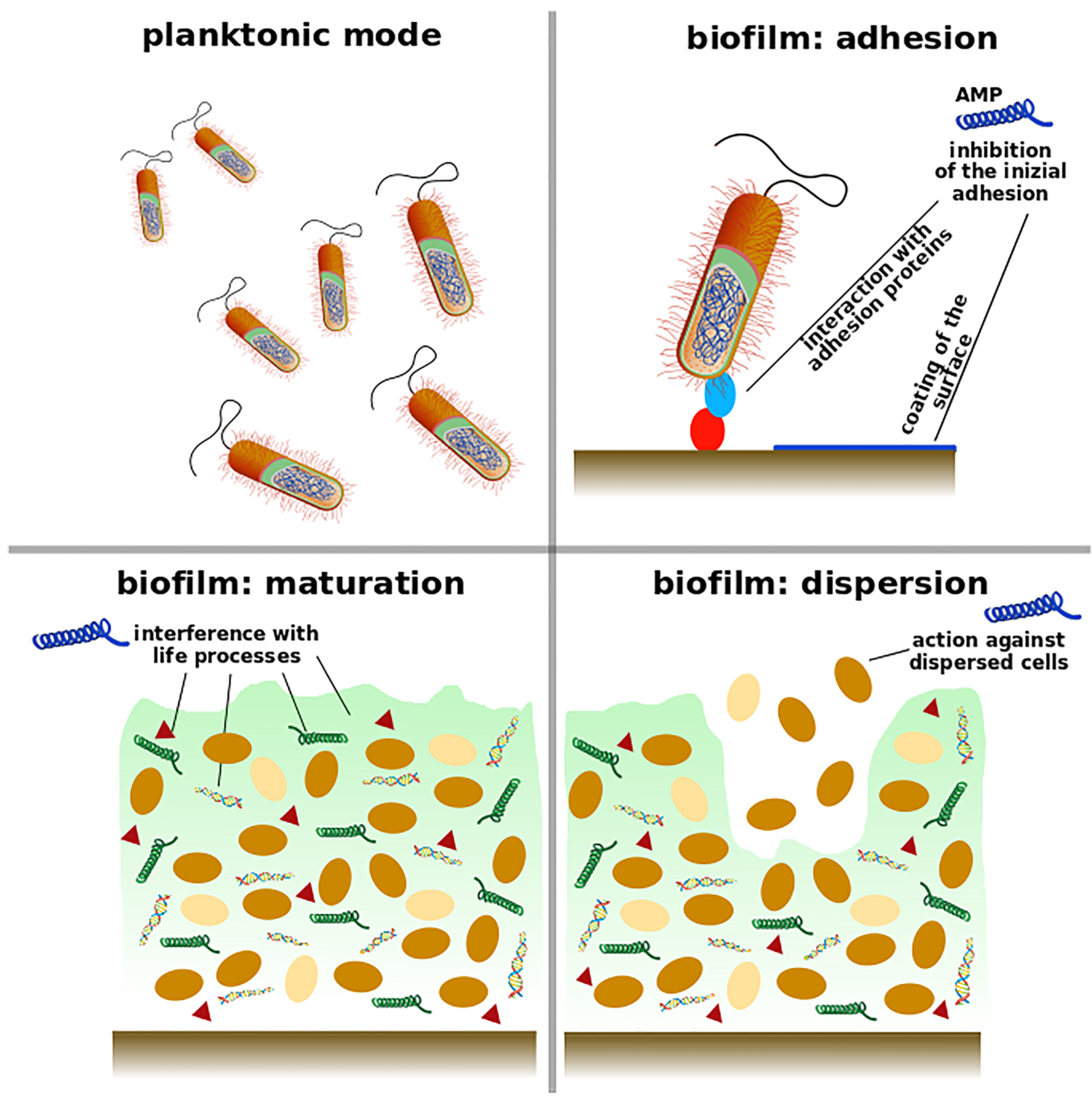 Pharmaceutics 11 00322 g001