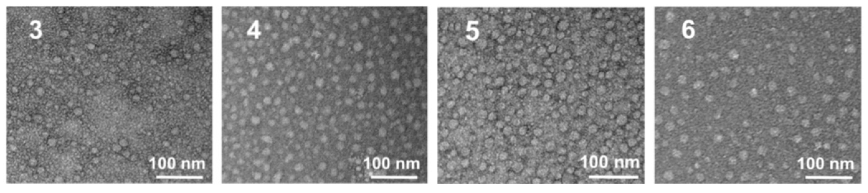Pharmaceutics 11 00324 g002 Pharmaceutics 11 00324 g002