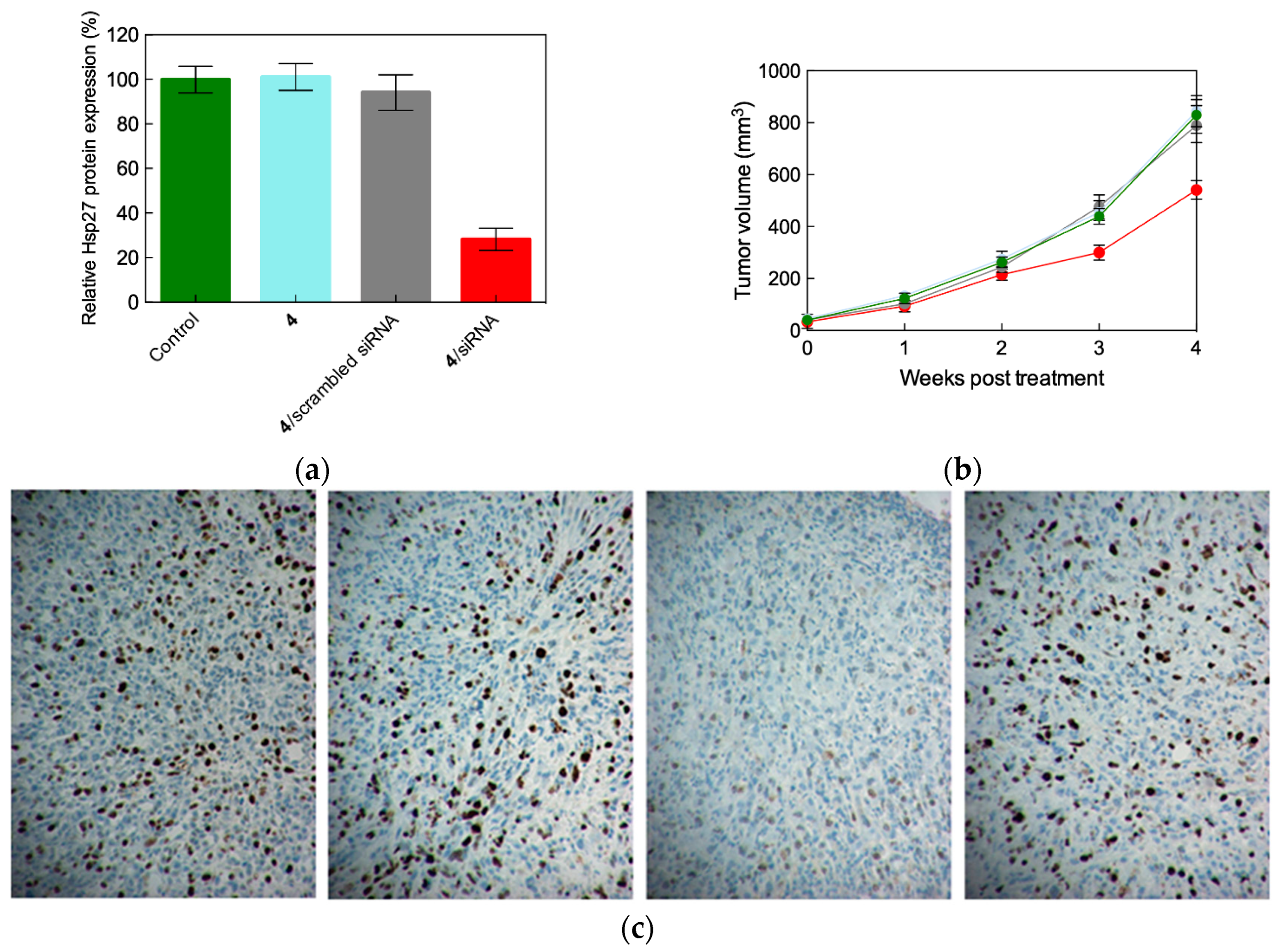 Pharmaceutics 11 00324 g007 Pharmaceutics 11 00324 g007