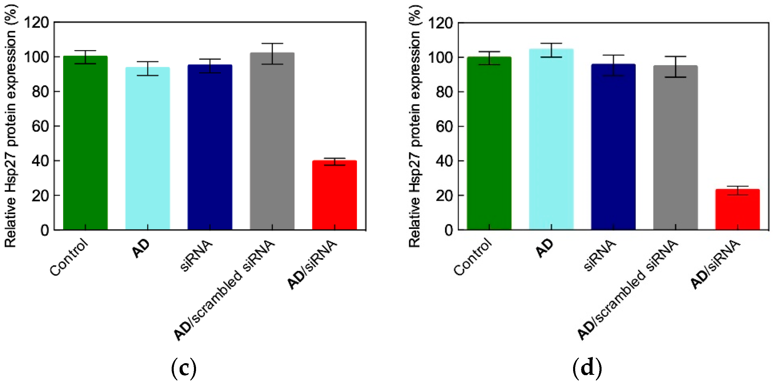 Pharmaceutics 11 00324 g010b Pharmaceutics 11 00324 g010b