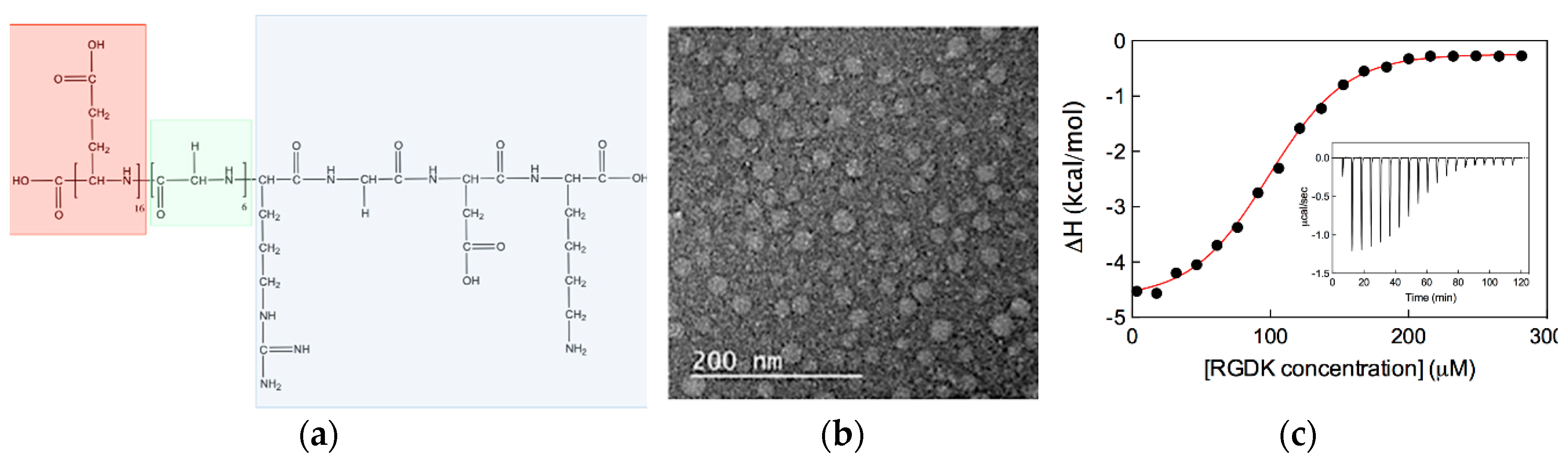 Pharmaceutics 11 00324 g013 Pharmaceutics 11 00324 g013