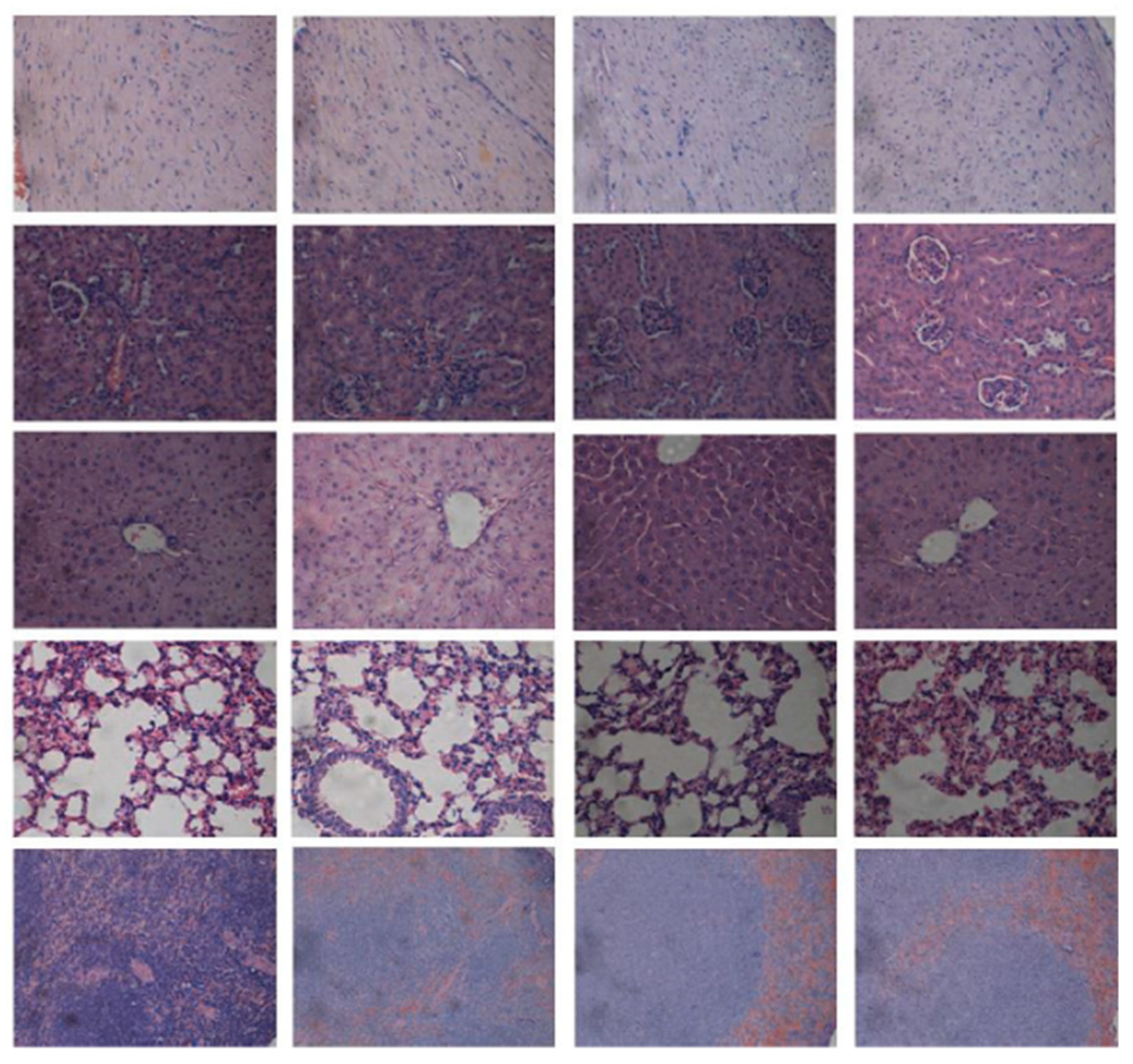 Pharmaceutics 11 00324 g0a2 Pharmaceutics 11 00324 g0a2