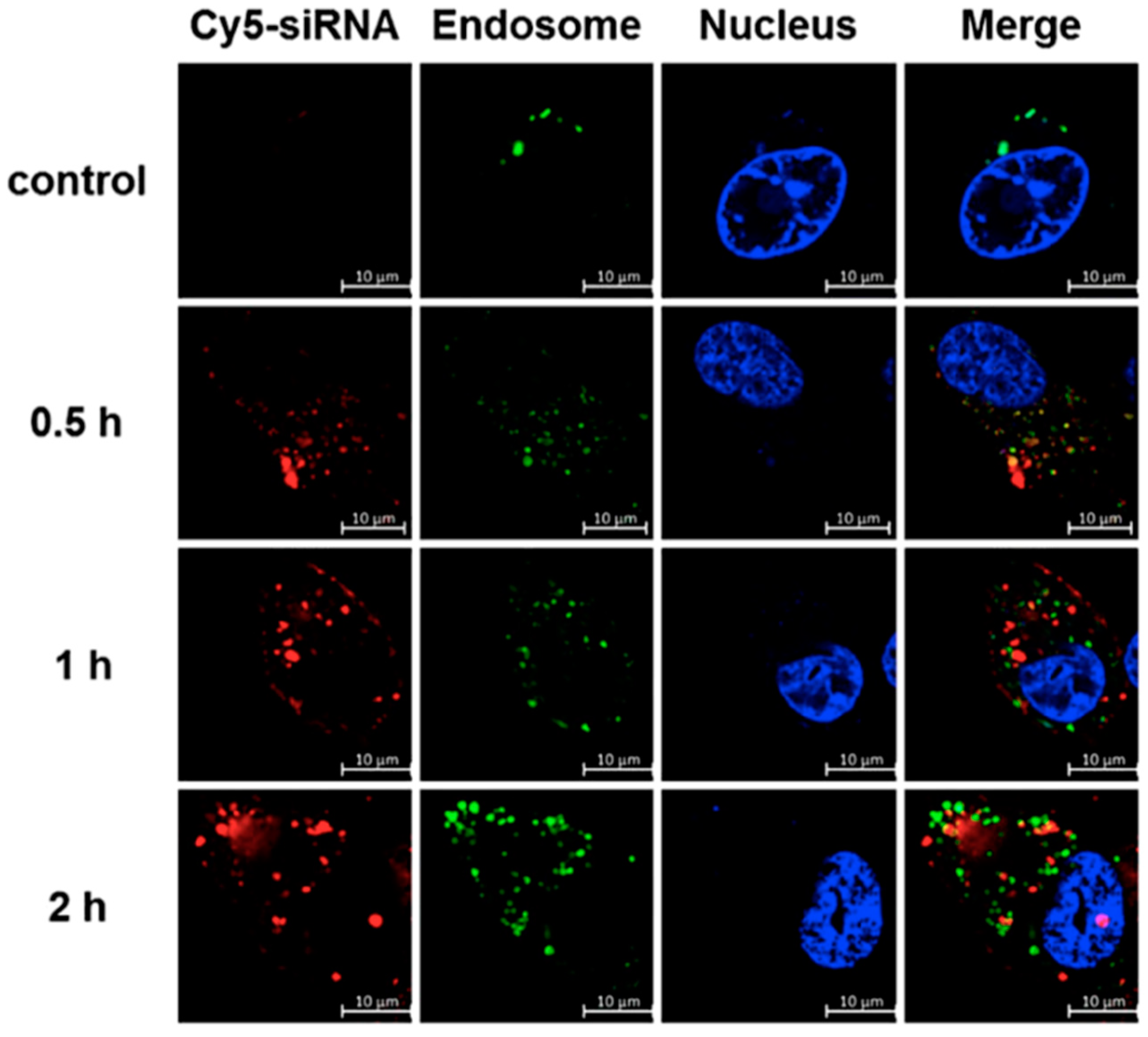 Pharmaceutics 11 00324 g0a3 Pharmaceutics 11 00324 g0a3