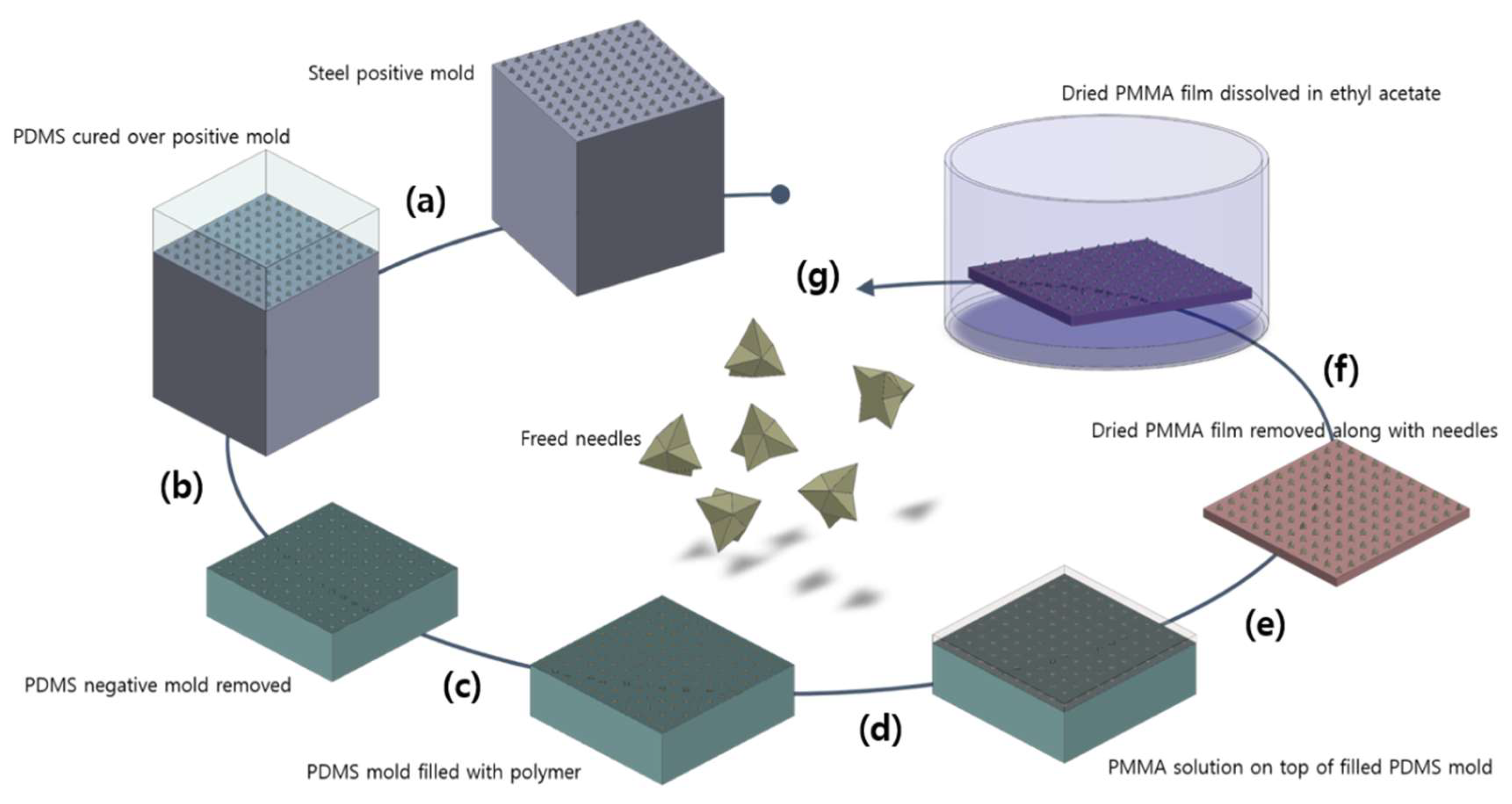 Pharmaceutics 11 00326 g002 Pharmaceutics 11 00326 g002
