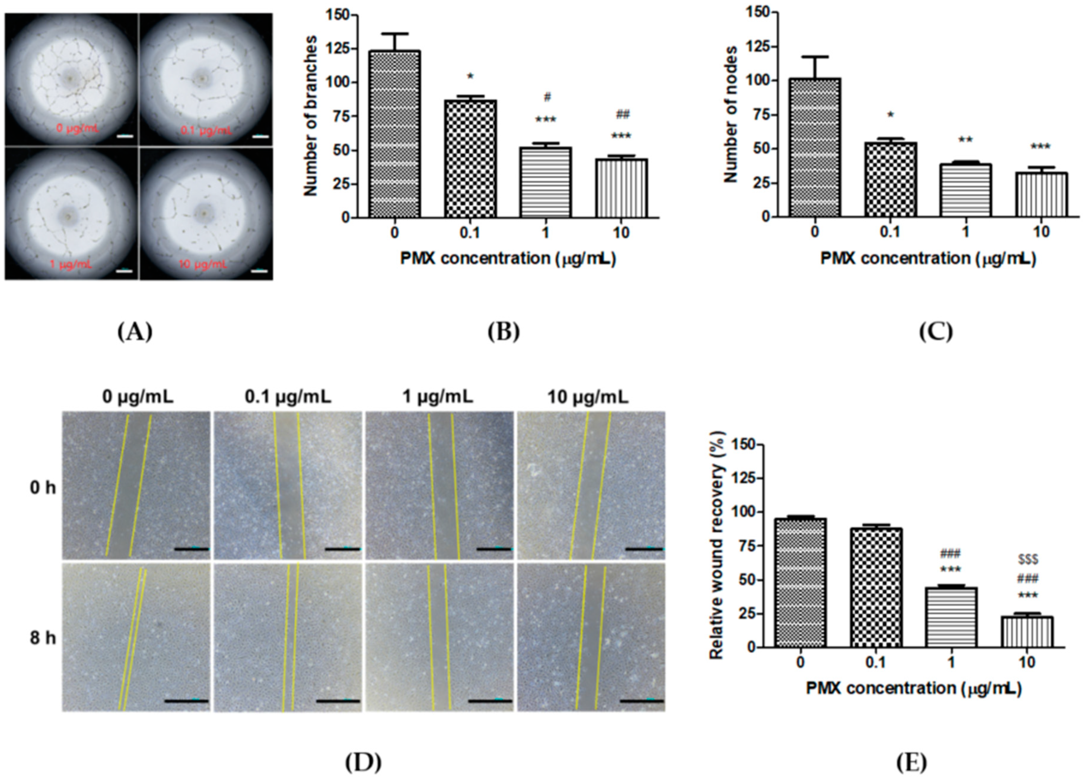 Pharmaceutics 11 00332 g002 Pharmaceutics 11 00332 g002