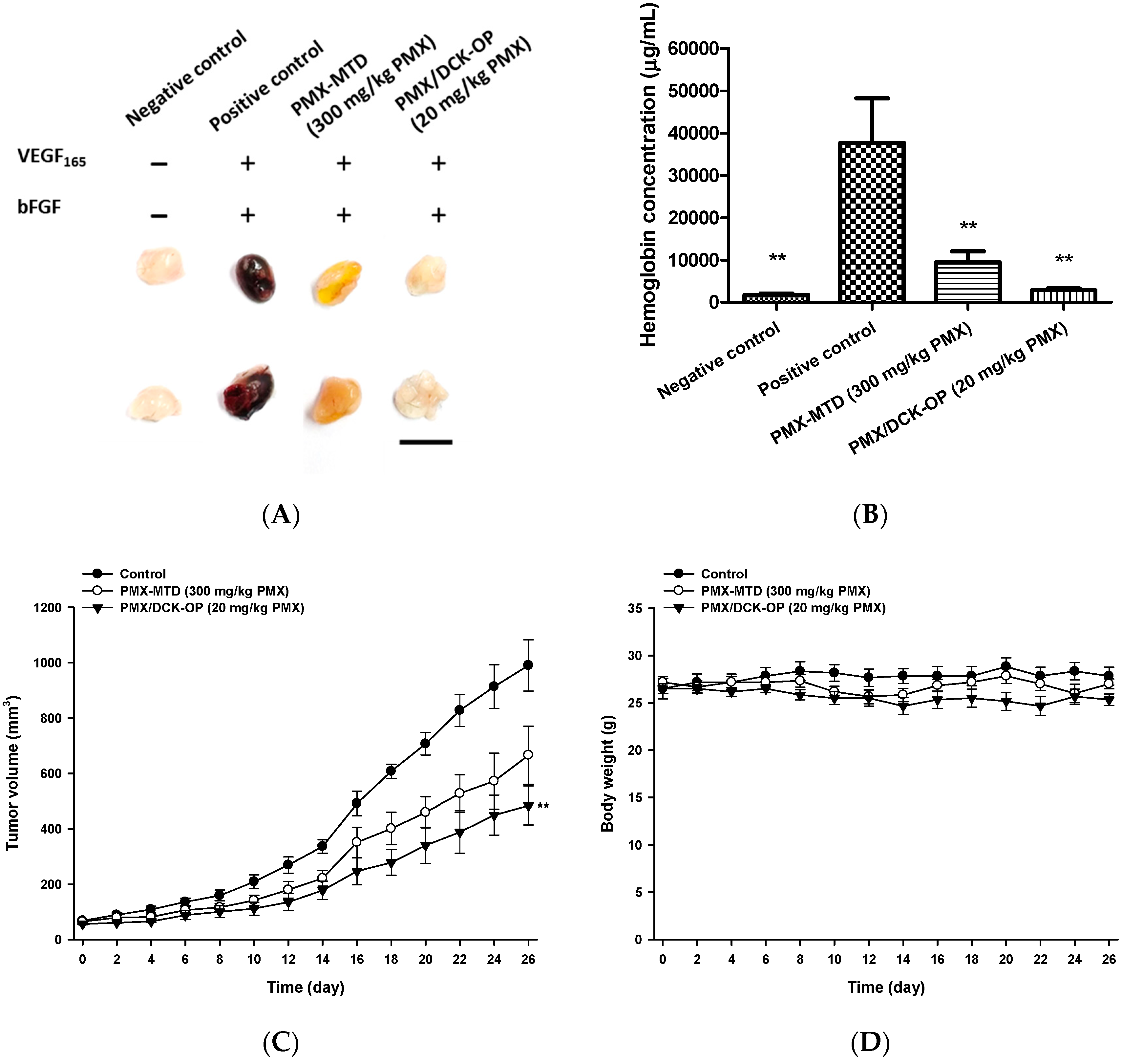 Pharmaceutics 11 00332 g007 Pharmaceutics 11 00332 g007
