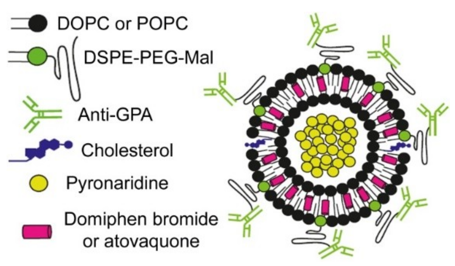 Pharmaceutics 11 00341 g001 Pharmaceutics 11 00341 g001