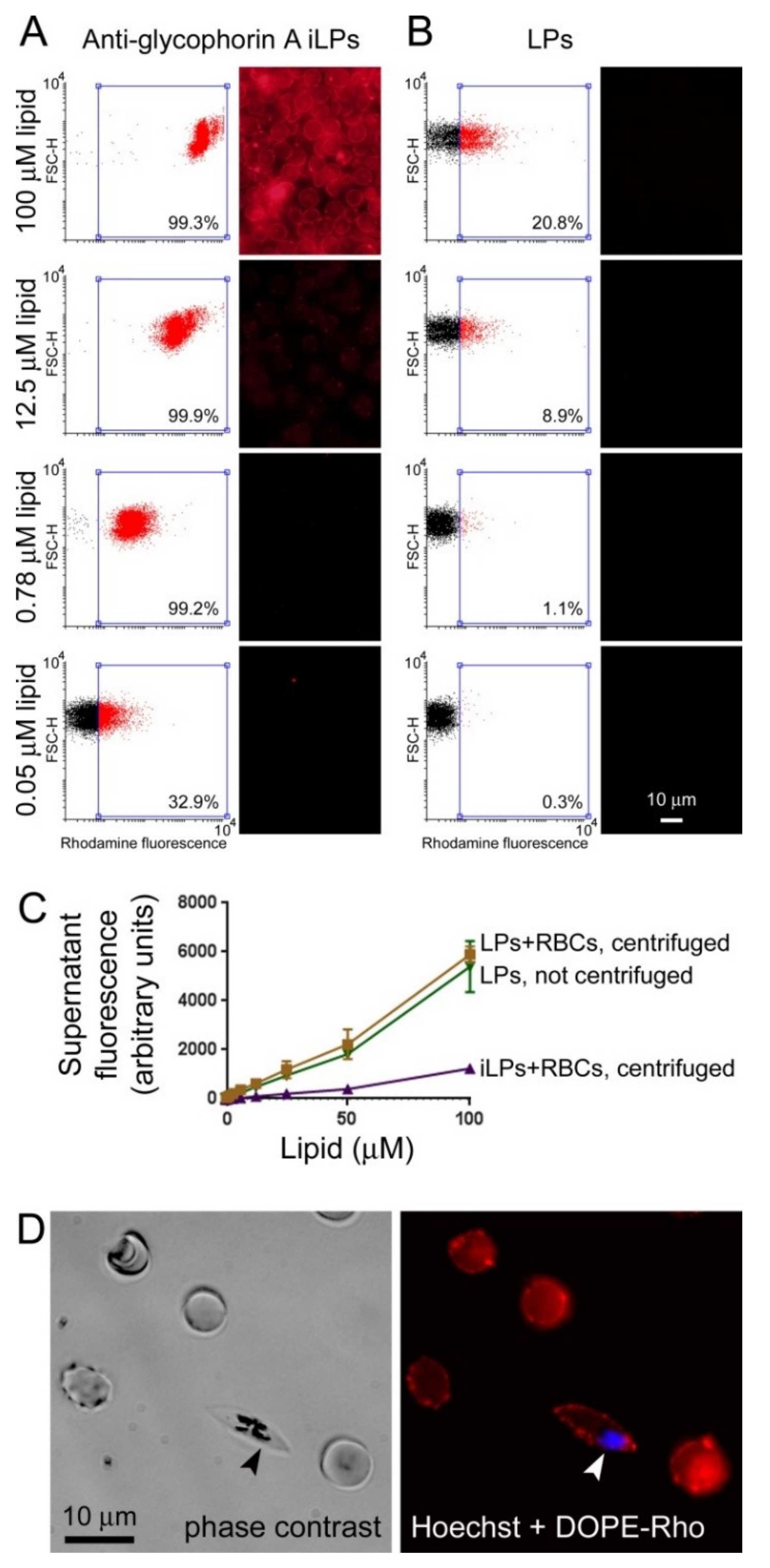 Pharmaceutics 11 00341 g003 Pharmaceutics 11 00341 g003