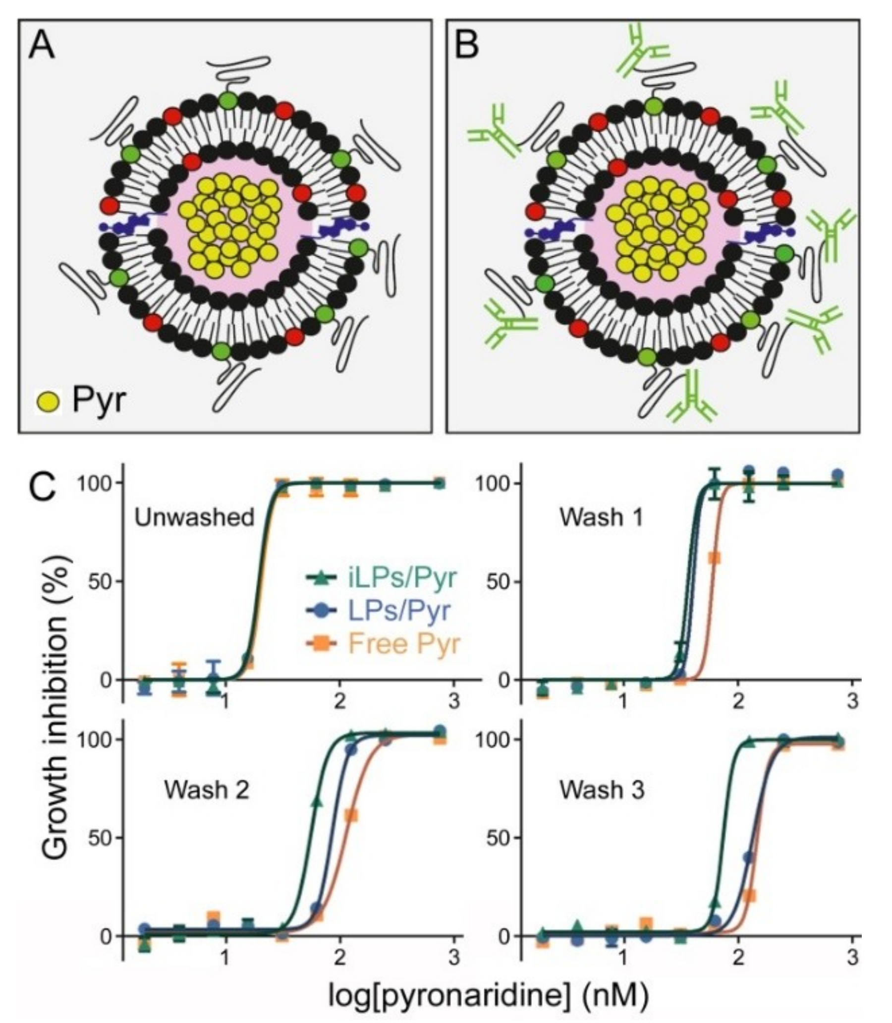 Pharmaceutics 11 00341 g004 Pharmaceutics 11 00341 g004
