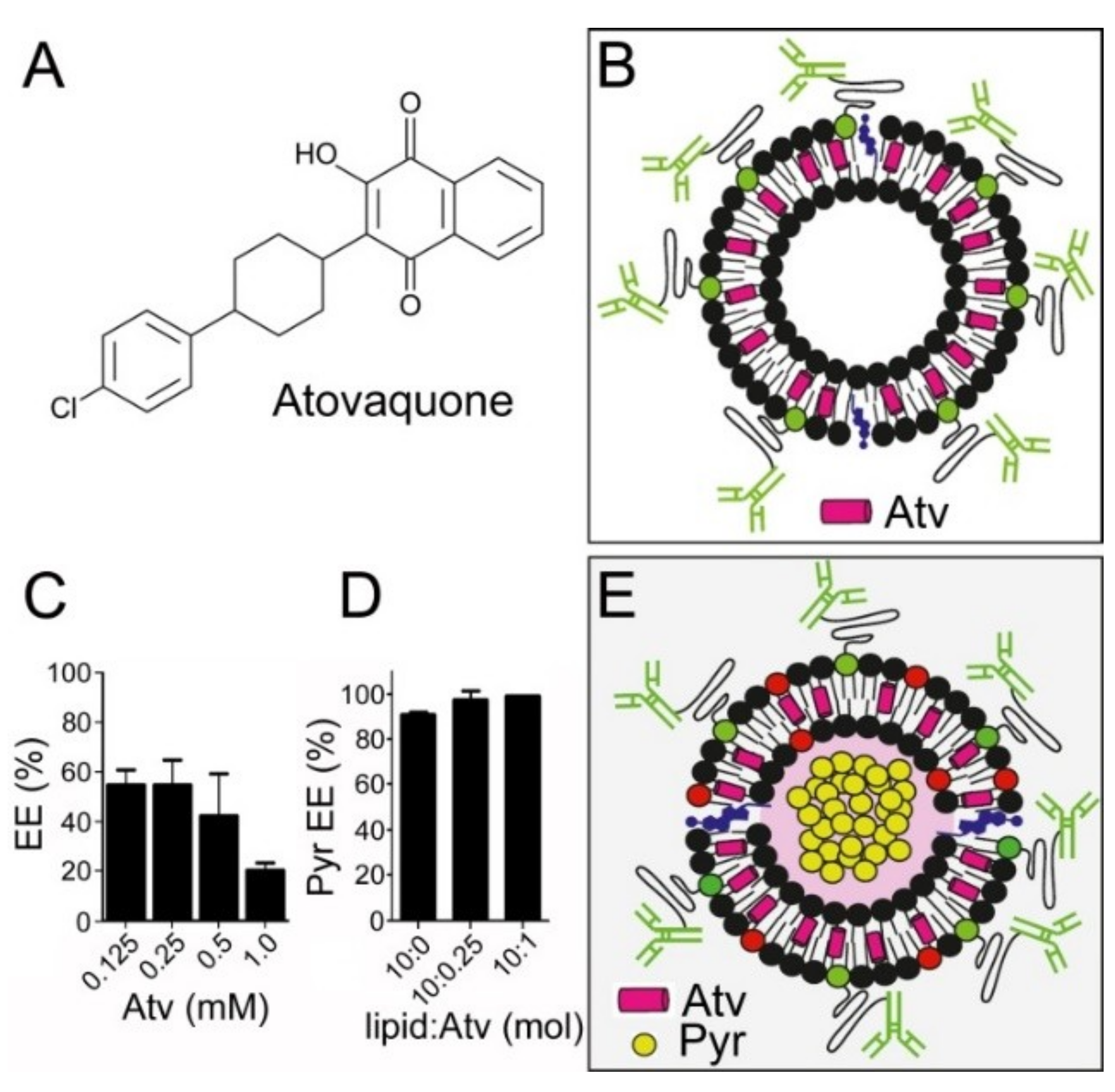Pharmaceutics 11 00341 g007 Pharmaceutics 11 00341 g007