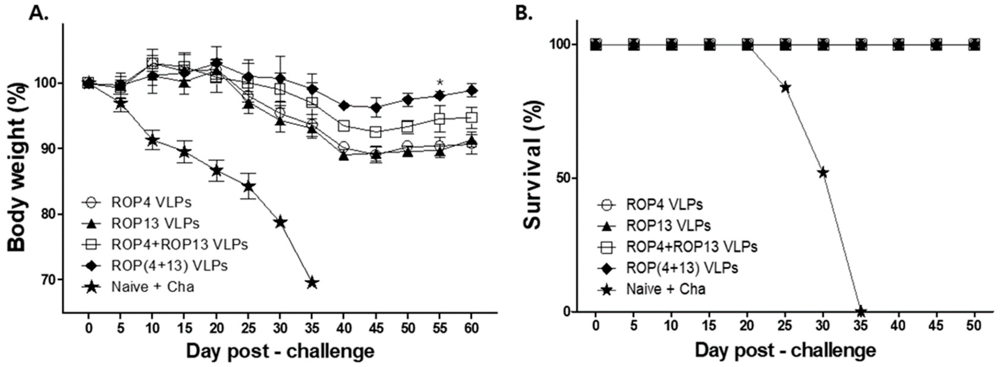 Pharmaceutics 11 00342 g008 Pharmaceutics 11 00342 g008