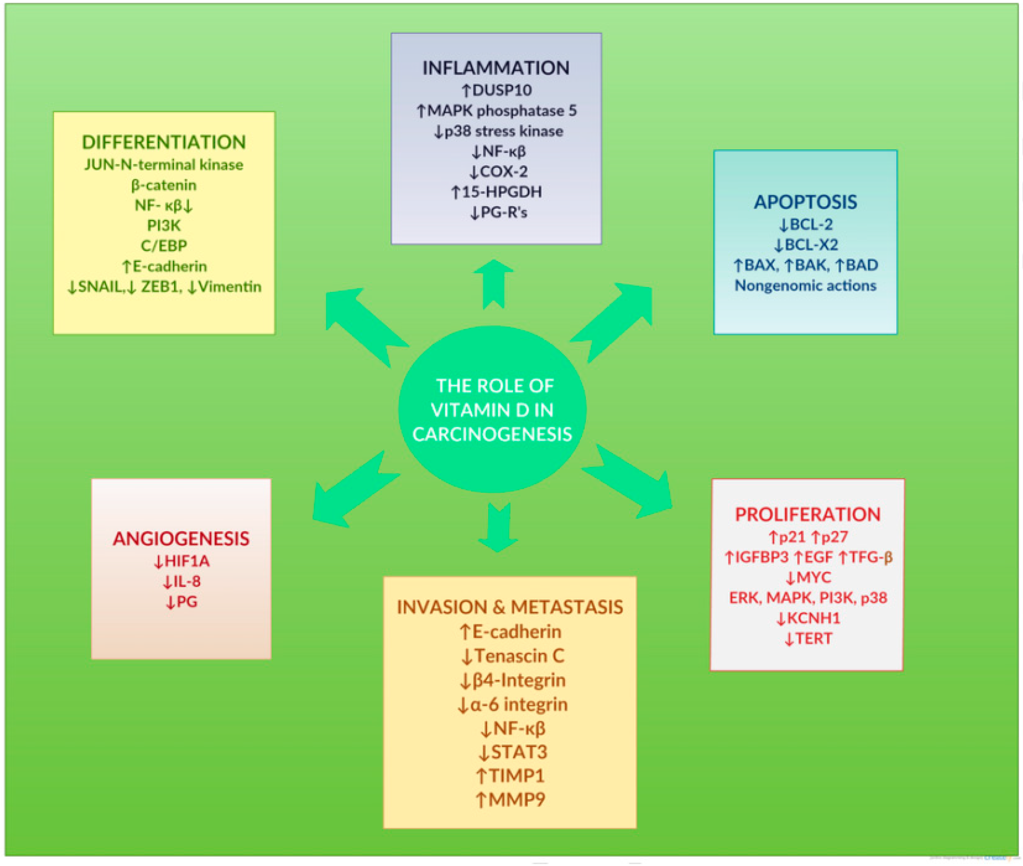 Pharmaceutics Free Full Text Drug Delivery Systems For