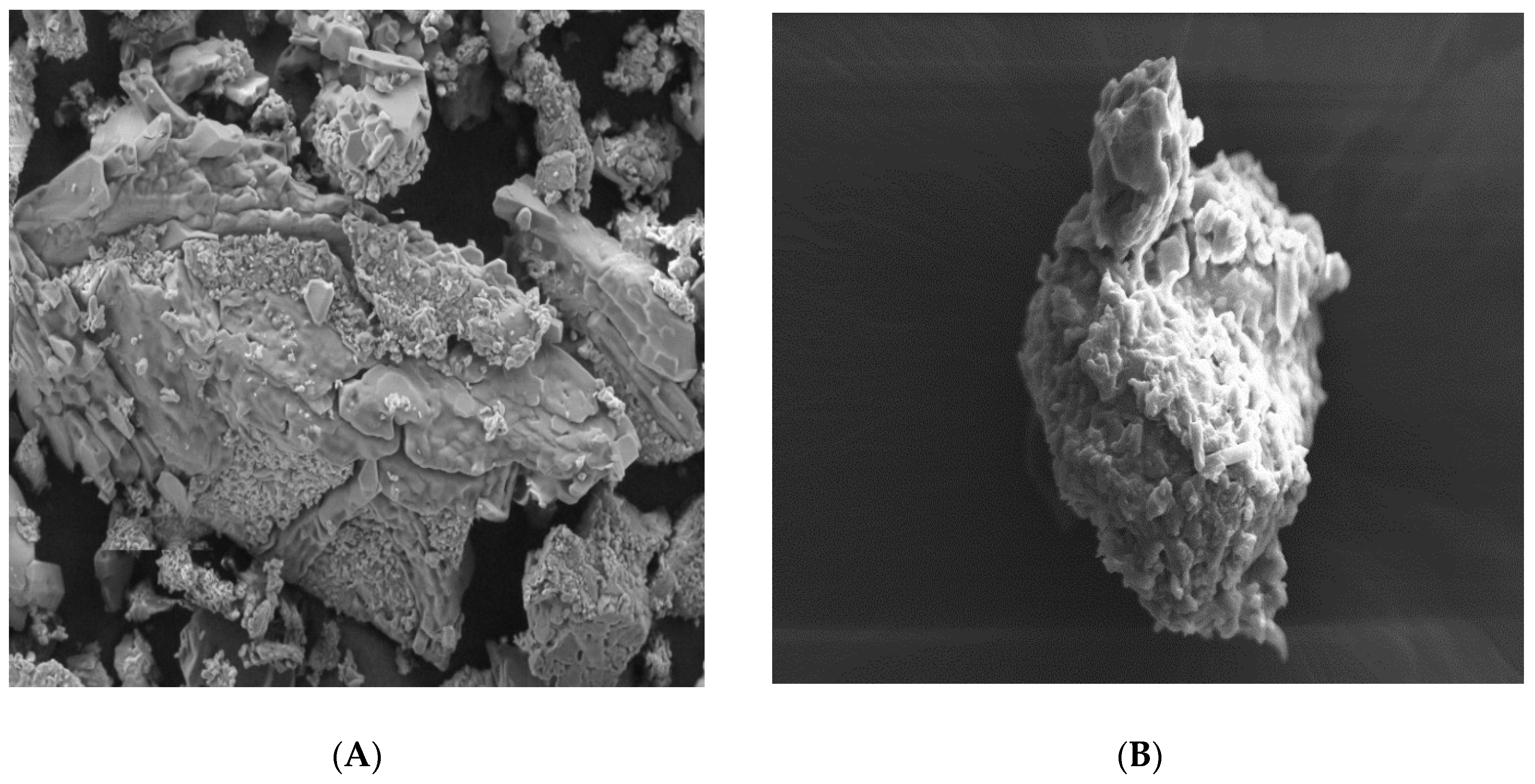 Pharmaceutics 11 00350 g004a Pharmaceutics 11 00350 g004a