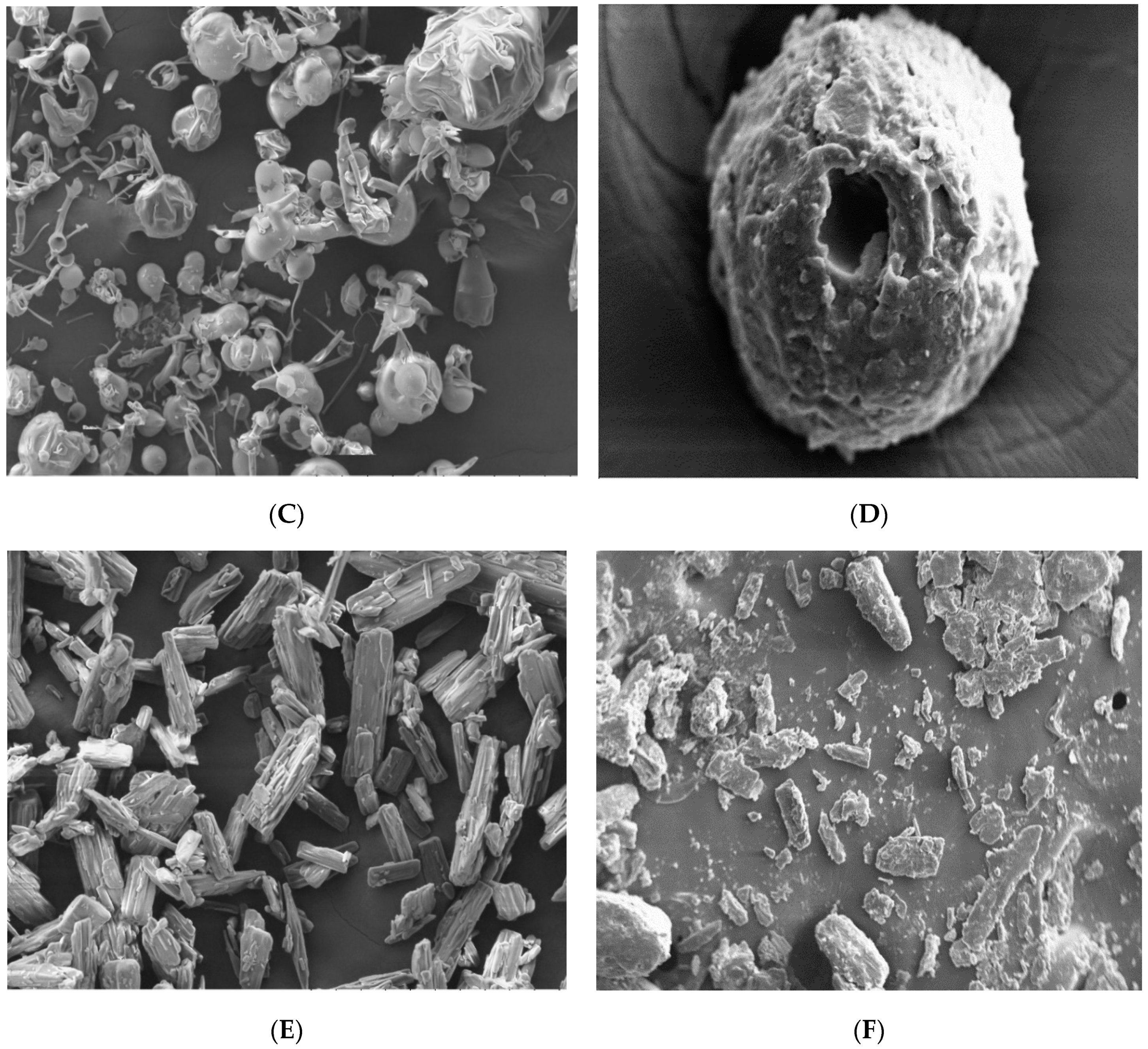 Pharmaceutics 11 00350 g004b Pharmaceutics 11 00350 g004b